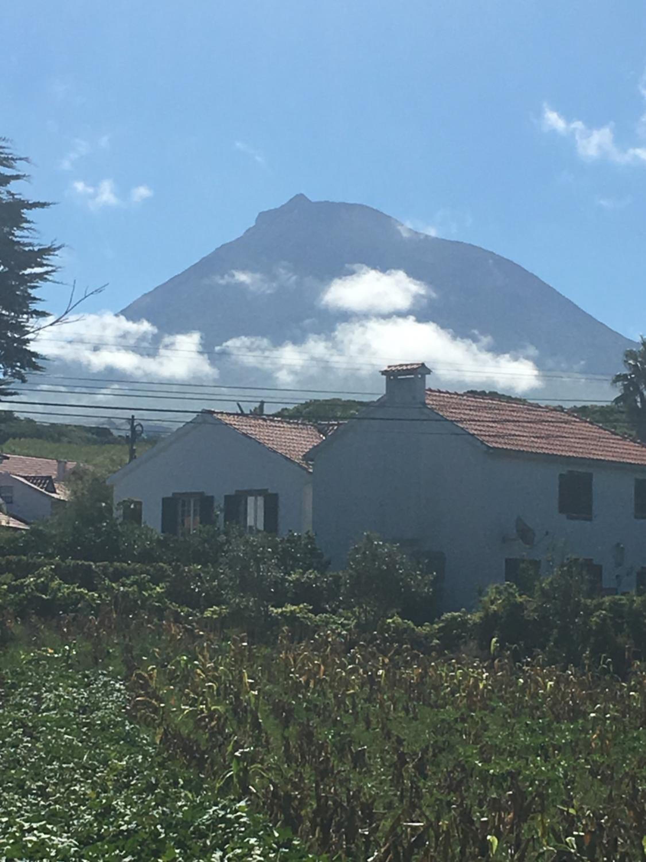 Home Pico - Casa dos Cedros (Alojamento local)
