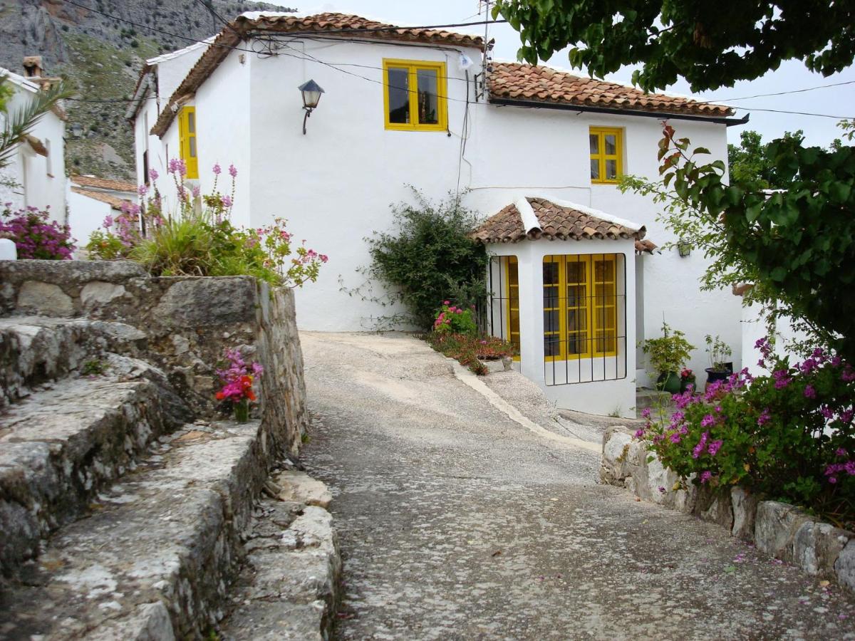 Puerta Verde photo 1