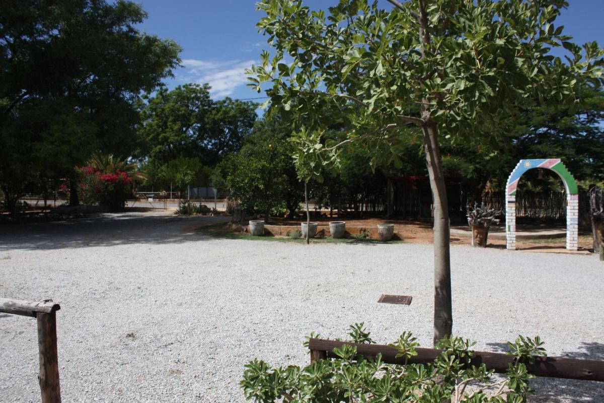 Photo 21