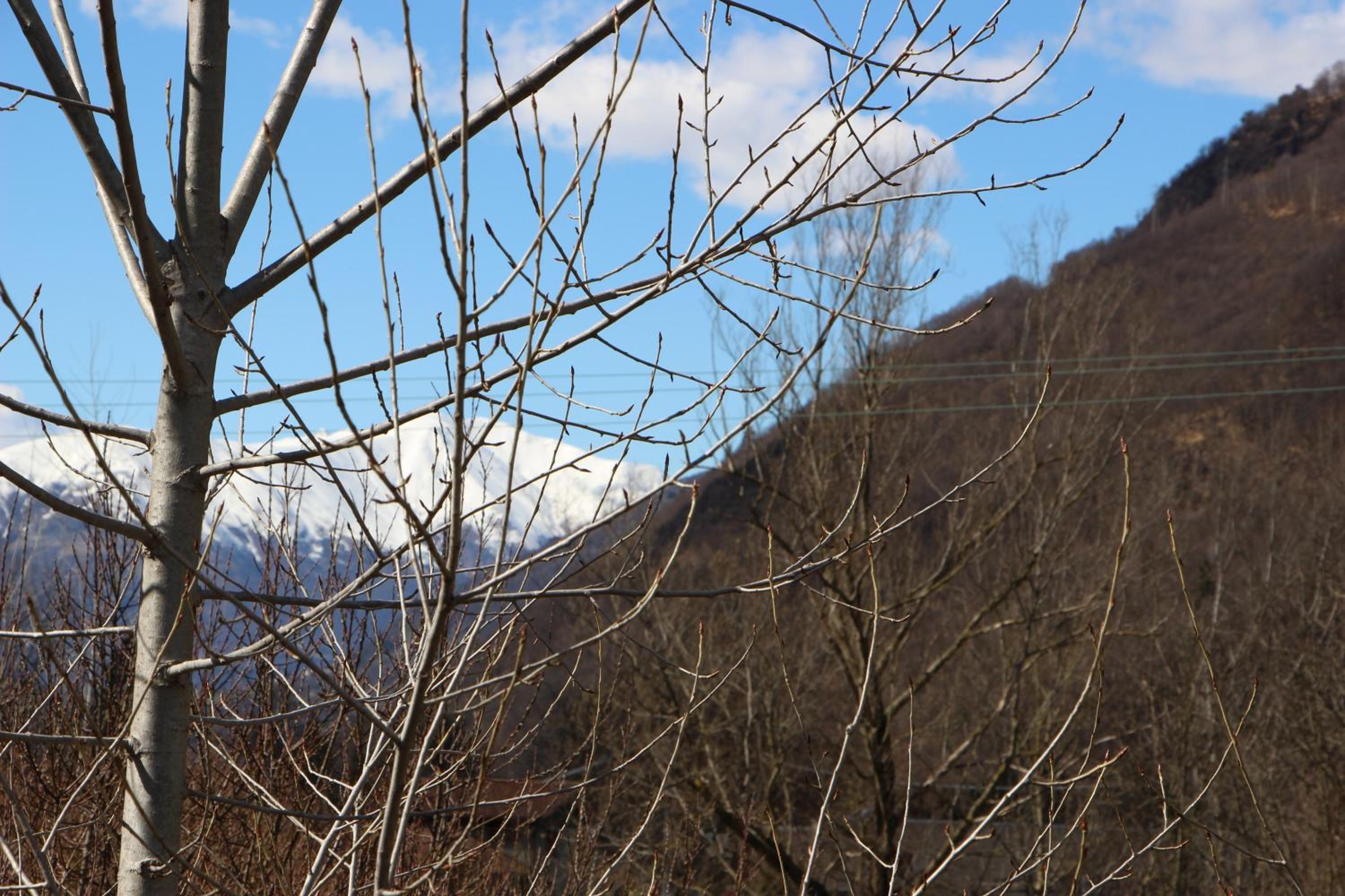 Photo 45