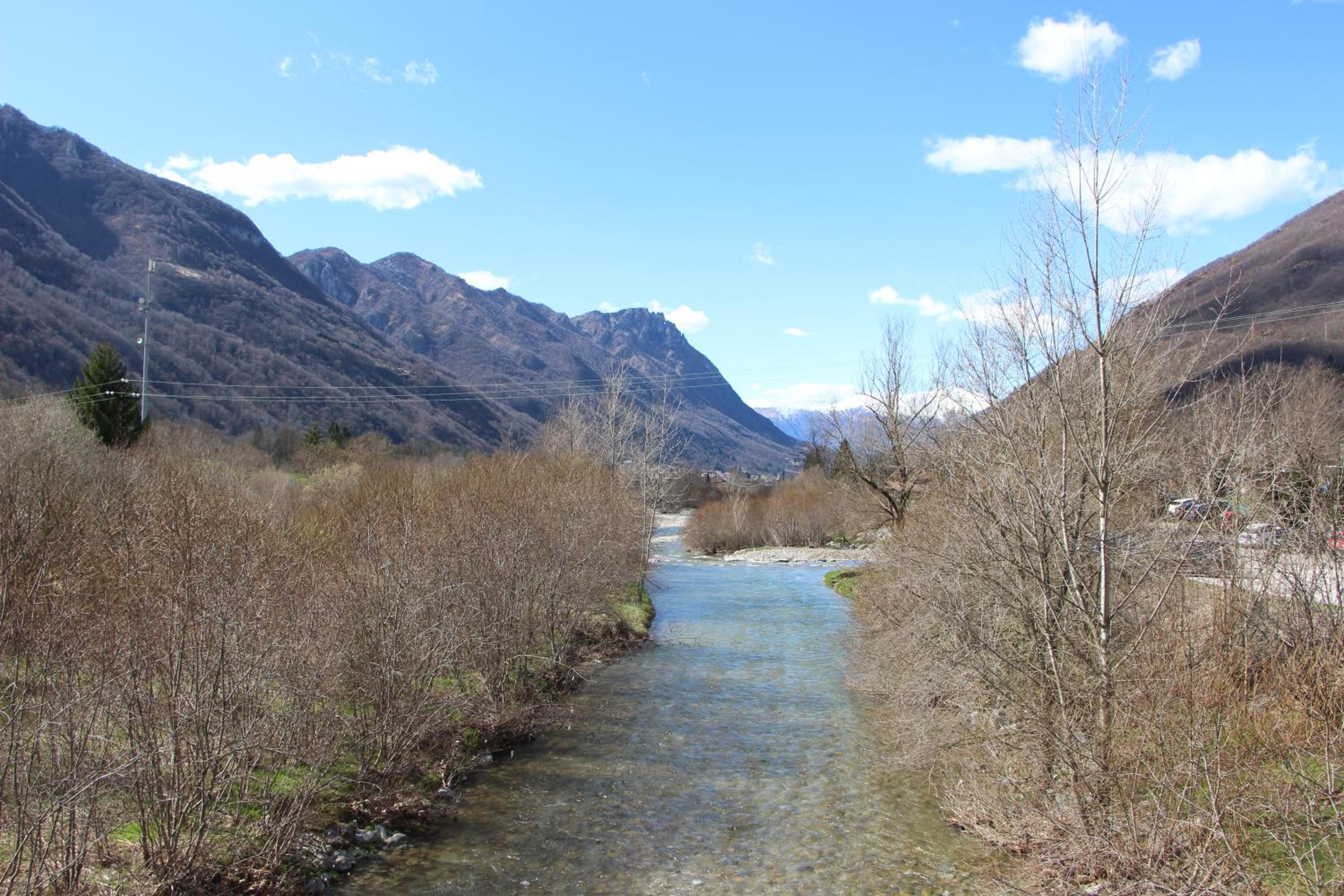 Photo 44