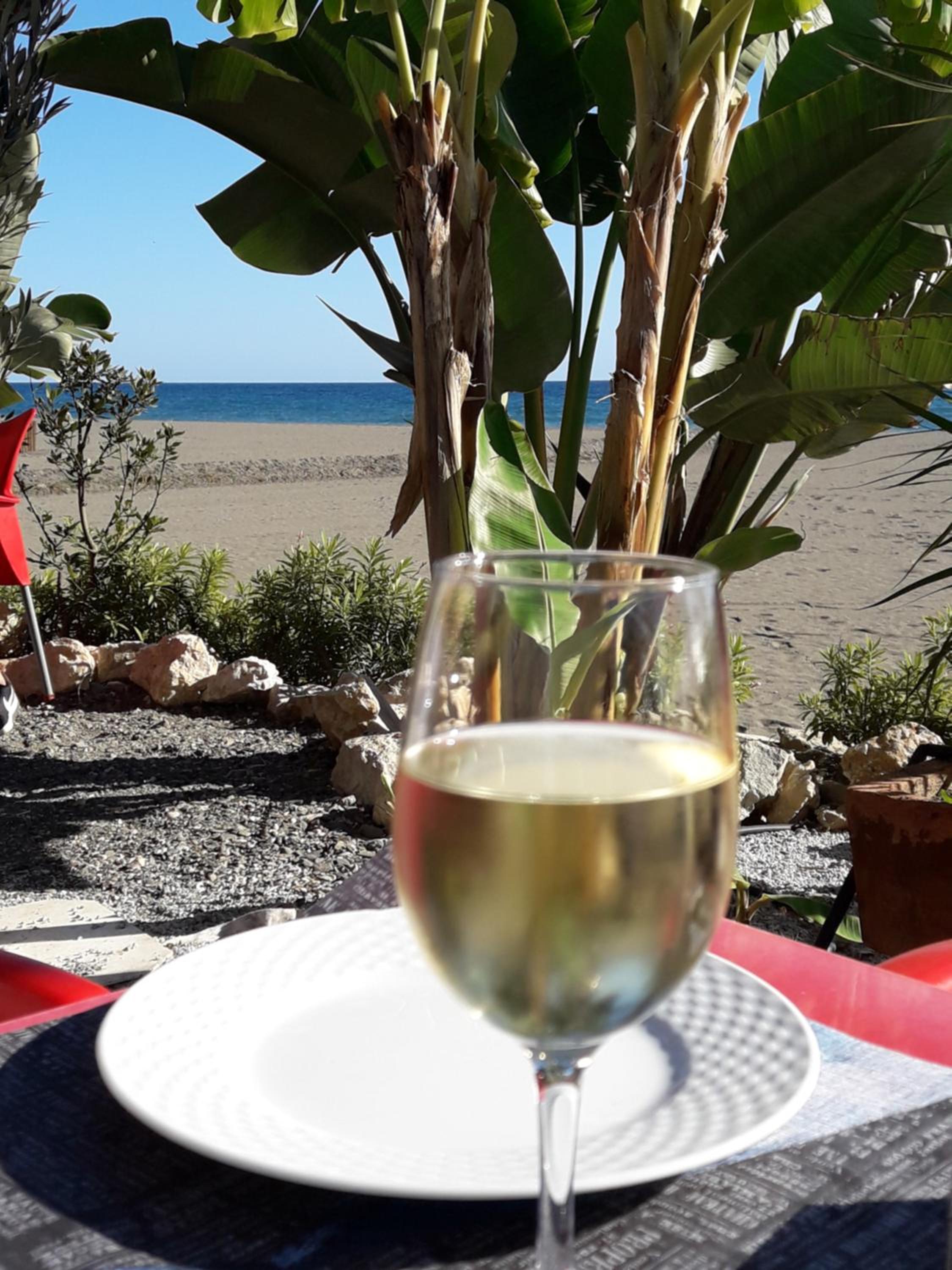 Campo Agave B&B