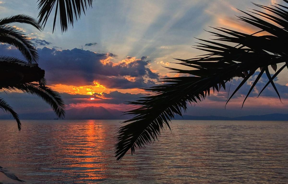 Golden Sunset photo 1