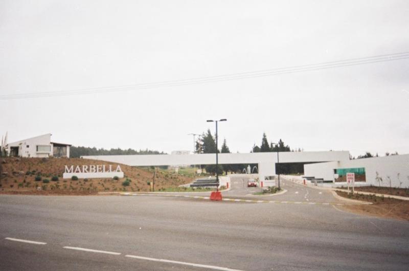 Photo 31