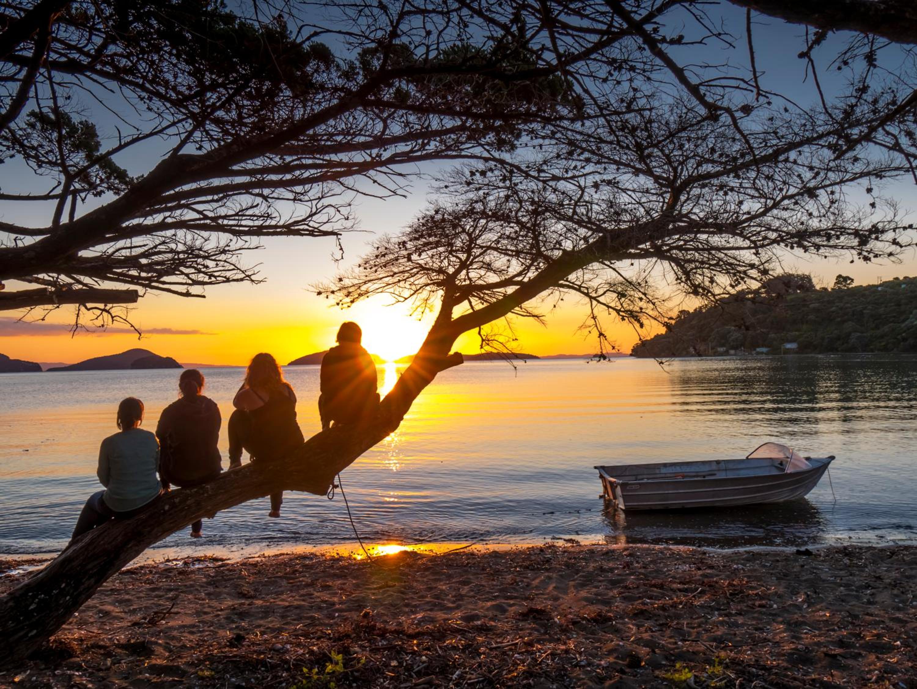Coromandel Shelly Beach TOP 10 Holiday Park 2