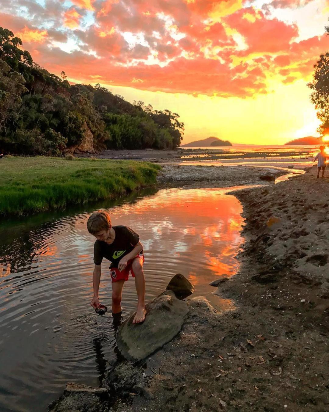 Coromandel Shelly Beach TOP 10 Holiday Park 26