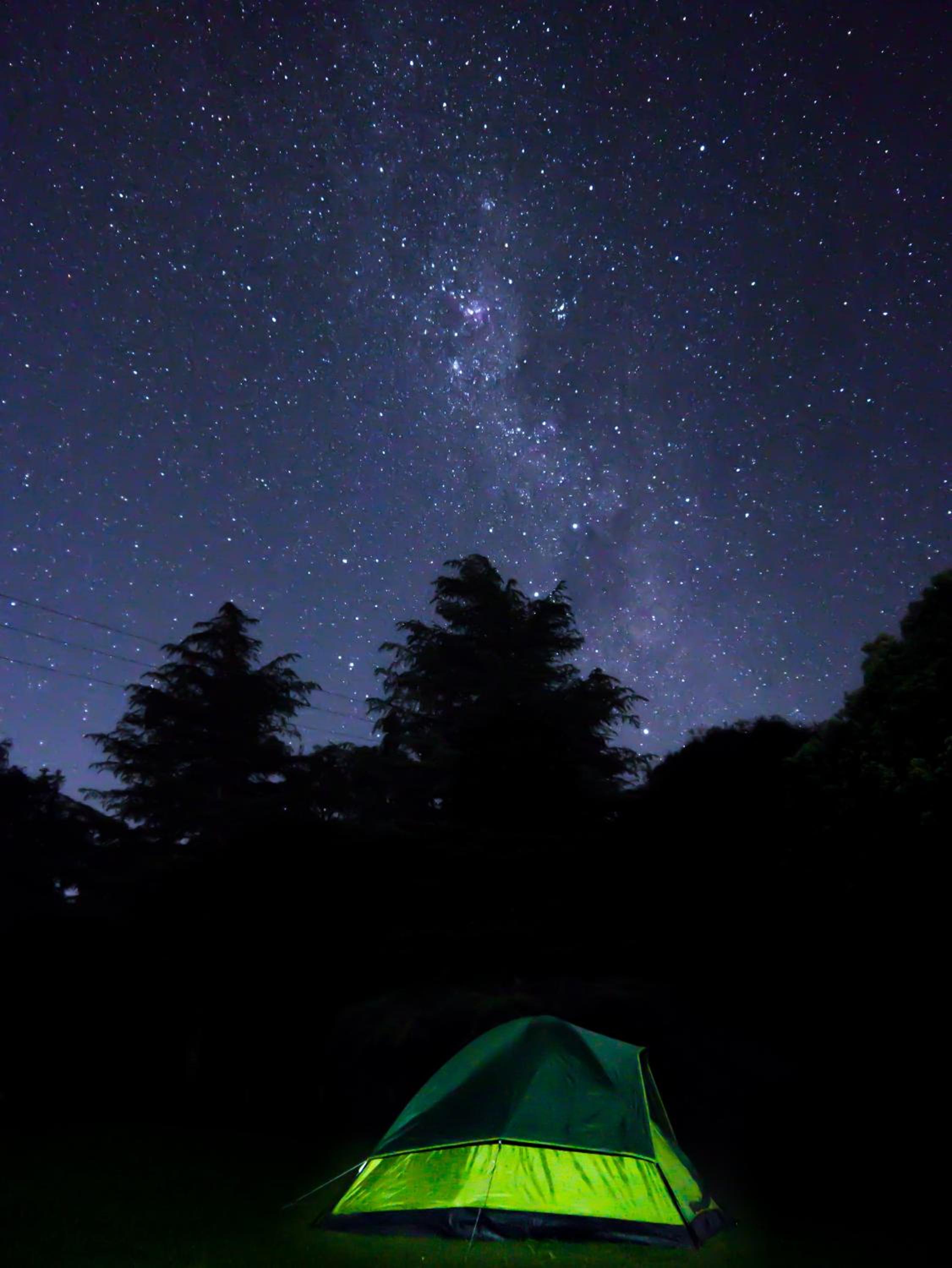 Coromandel Shelly Beach TOP 10 Holiday Park 22