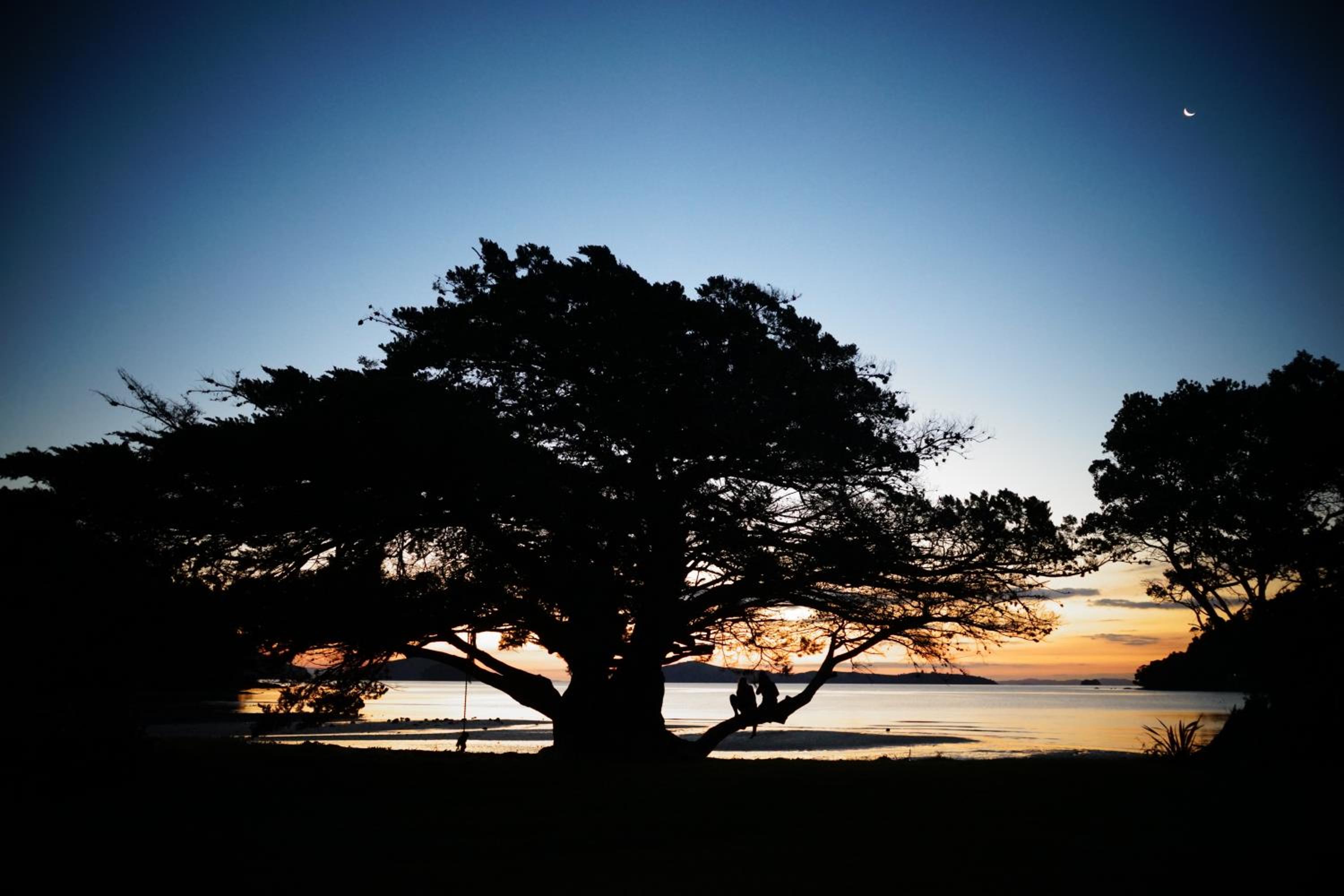 Coromandel Shelly Beach TOP 10 Holiday Park 27