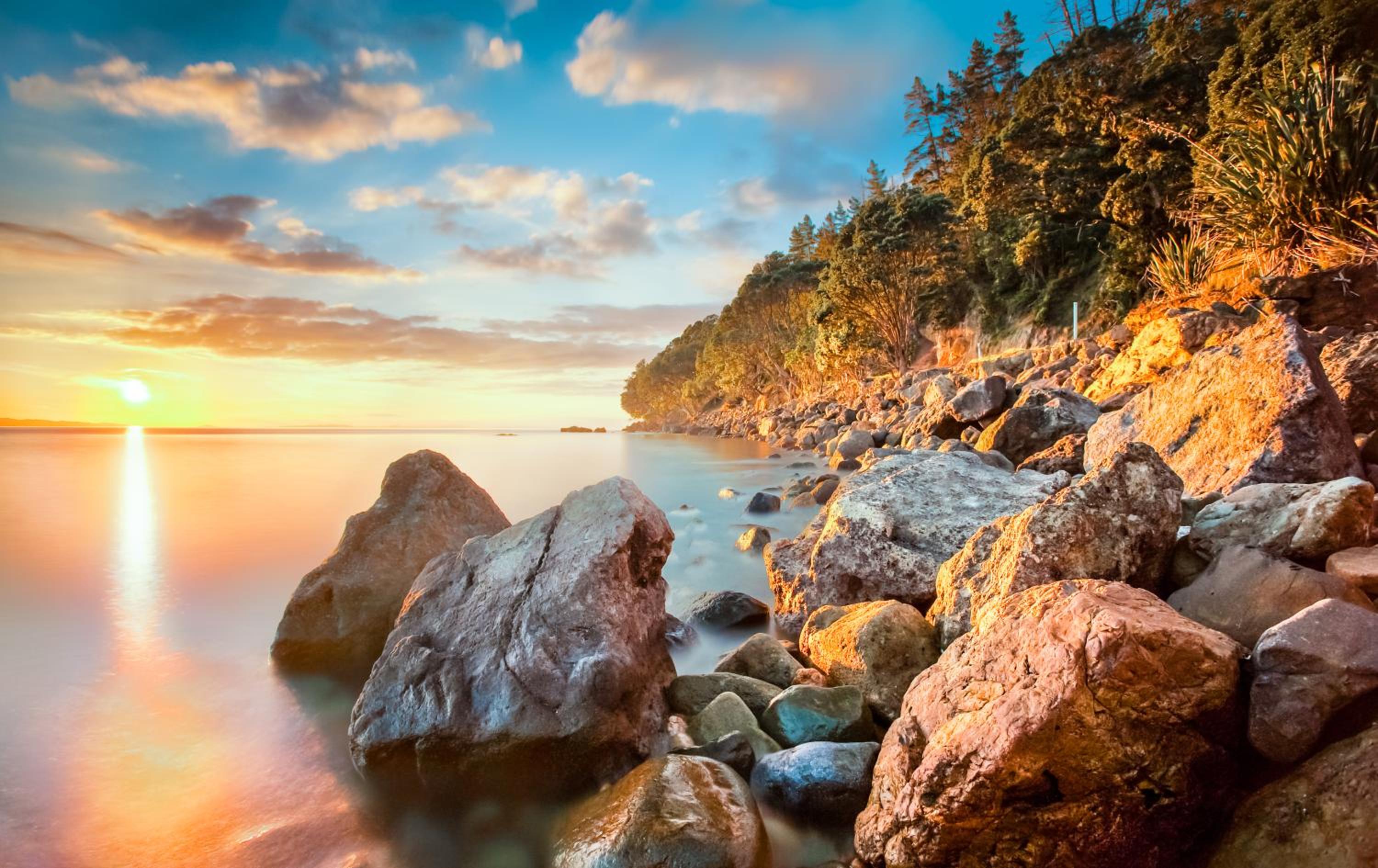 Coromandel Shelly Beach TOP 10 Holiday Park 35