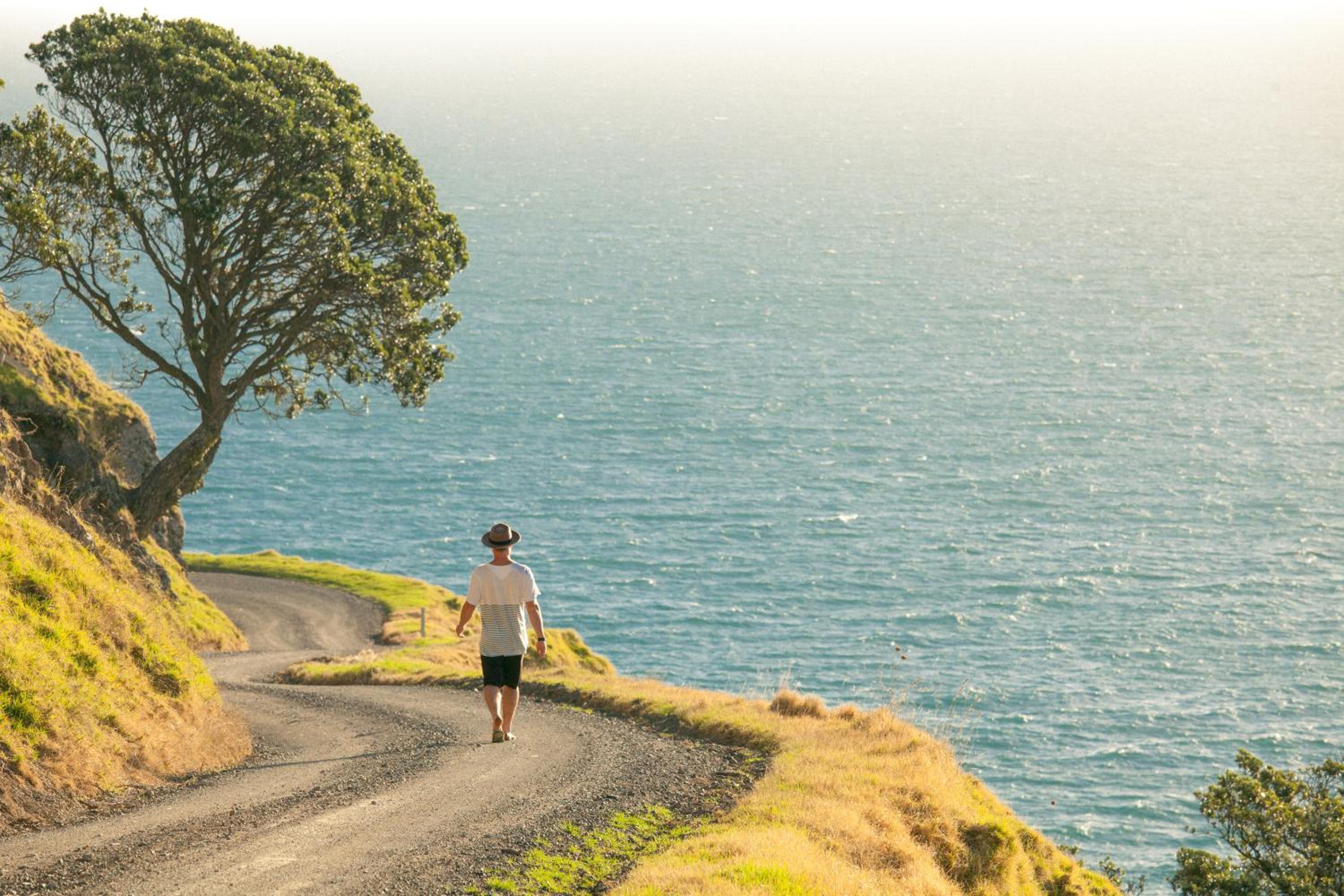 Coromandel Shelly Beach TOP 10 Holiday Park 19