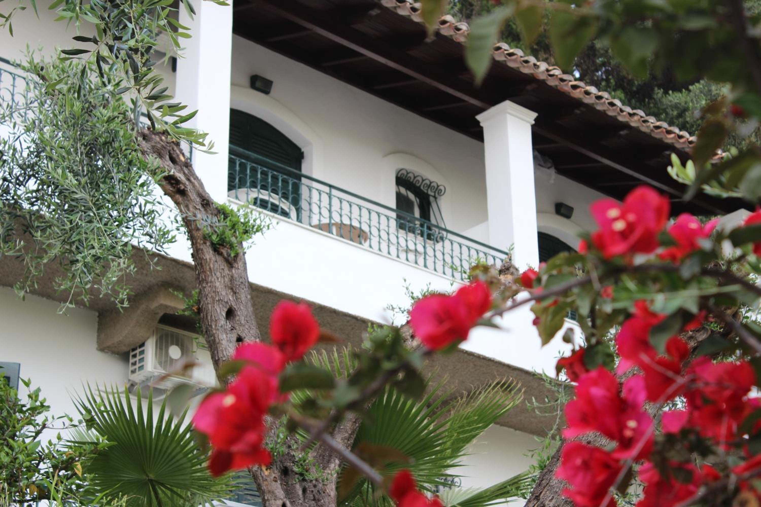 Natasa and Spiros photo 5