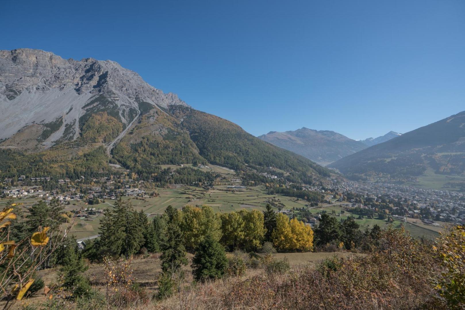 Residence Fior d'Alpe