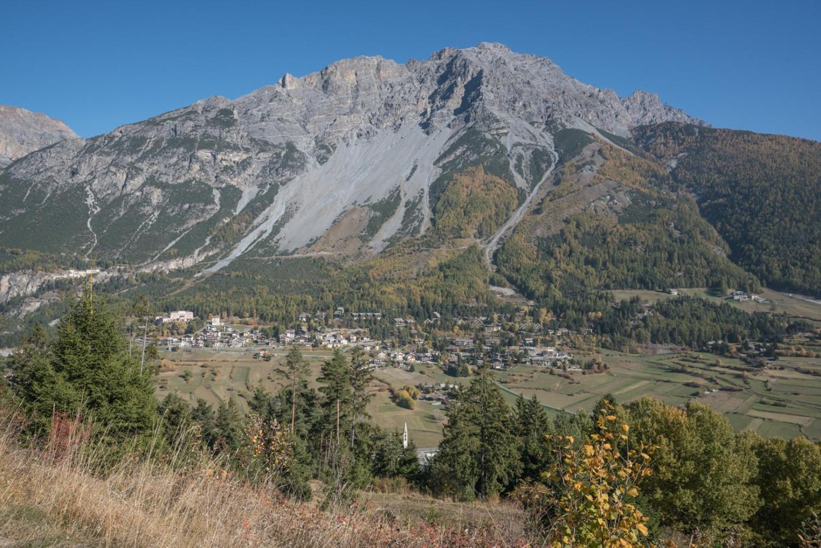 Residence Fior d'Alpe
