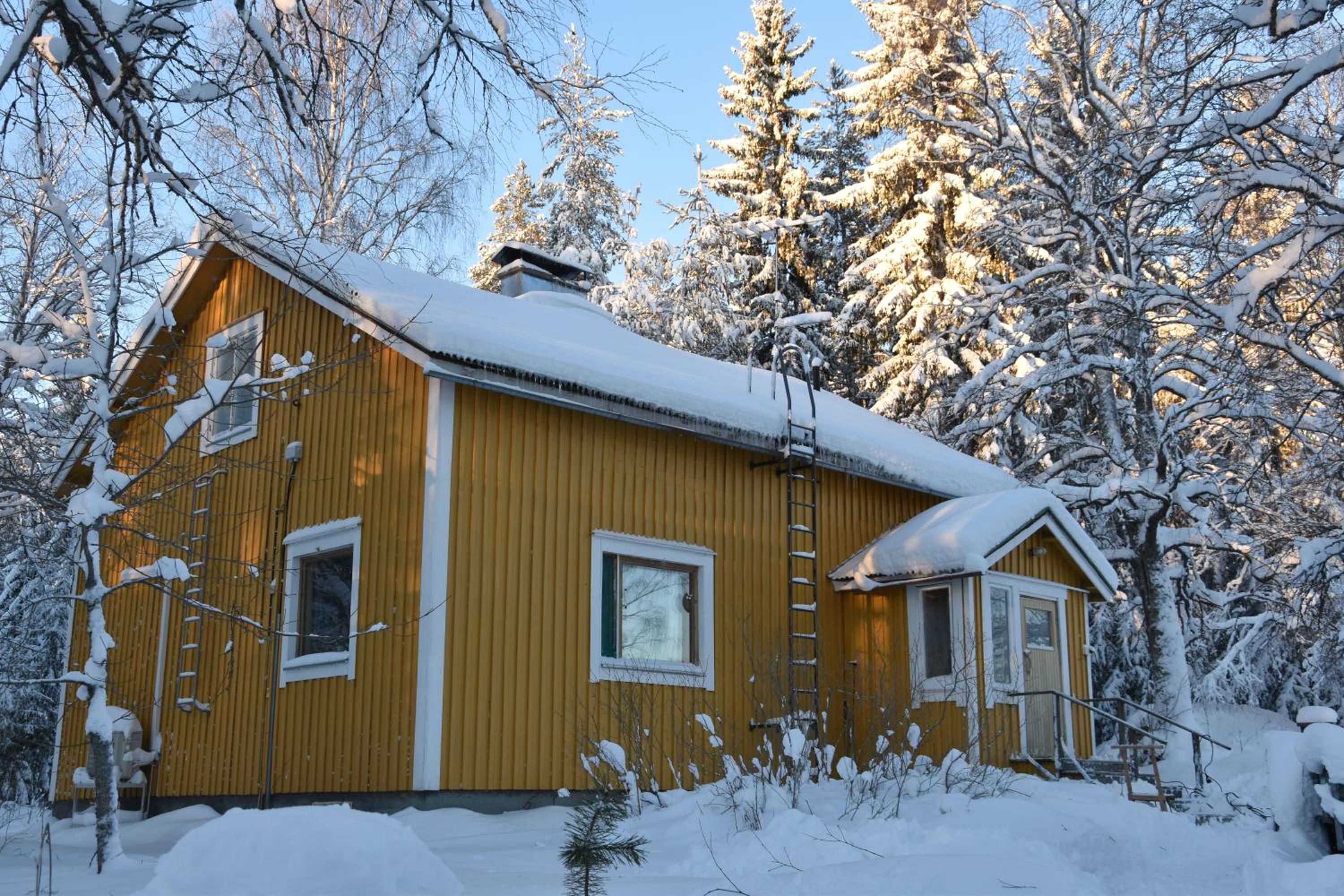 Old wooden house 20 min from Koli