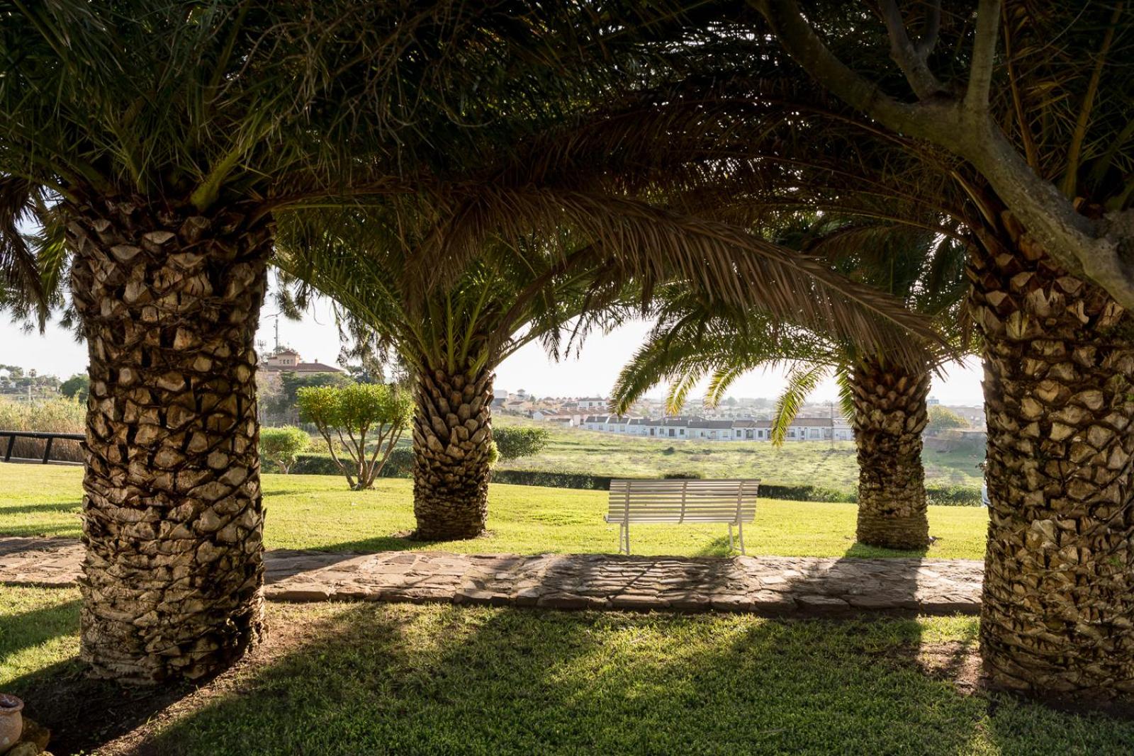 outdoor BBQ area