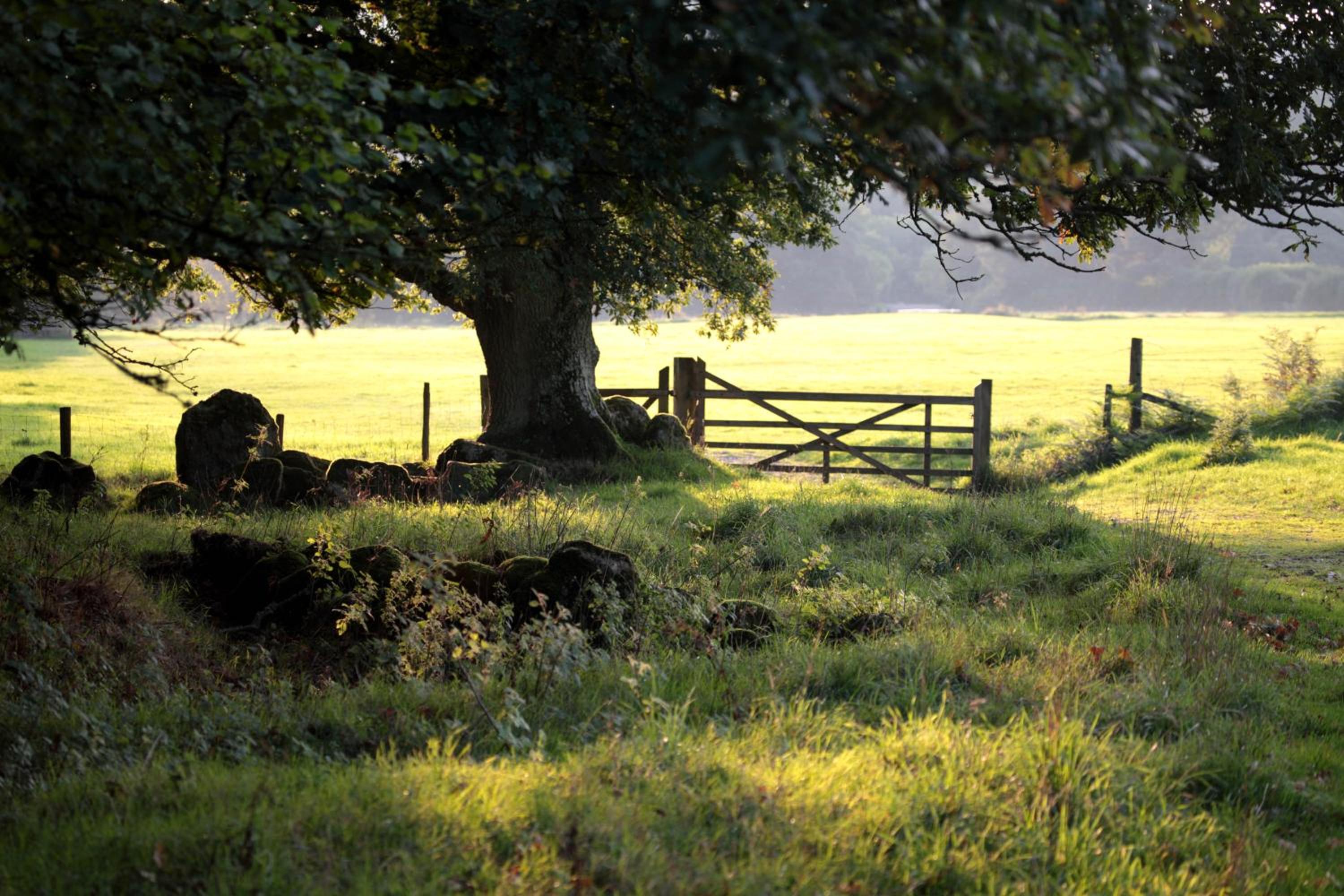 Okehampton Vacations - Lovaton Farmhouse - Property Image 38