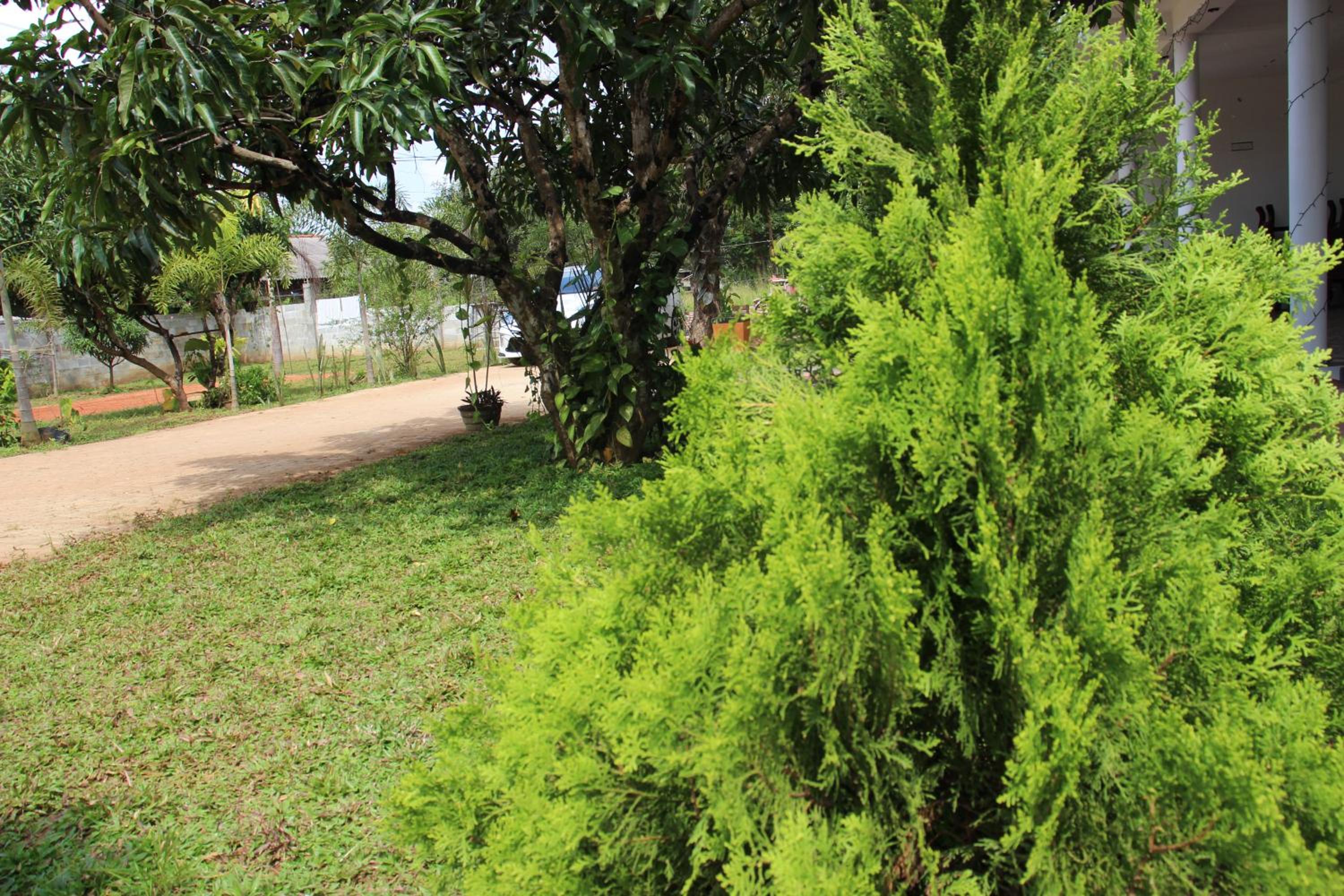 children's play area
