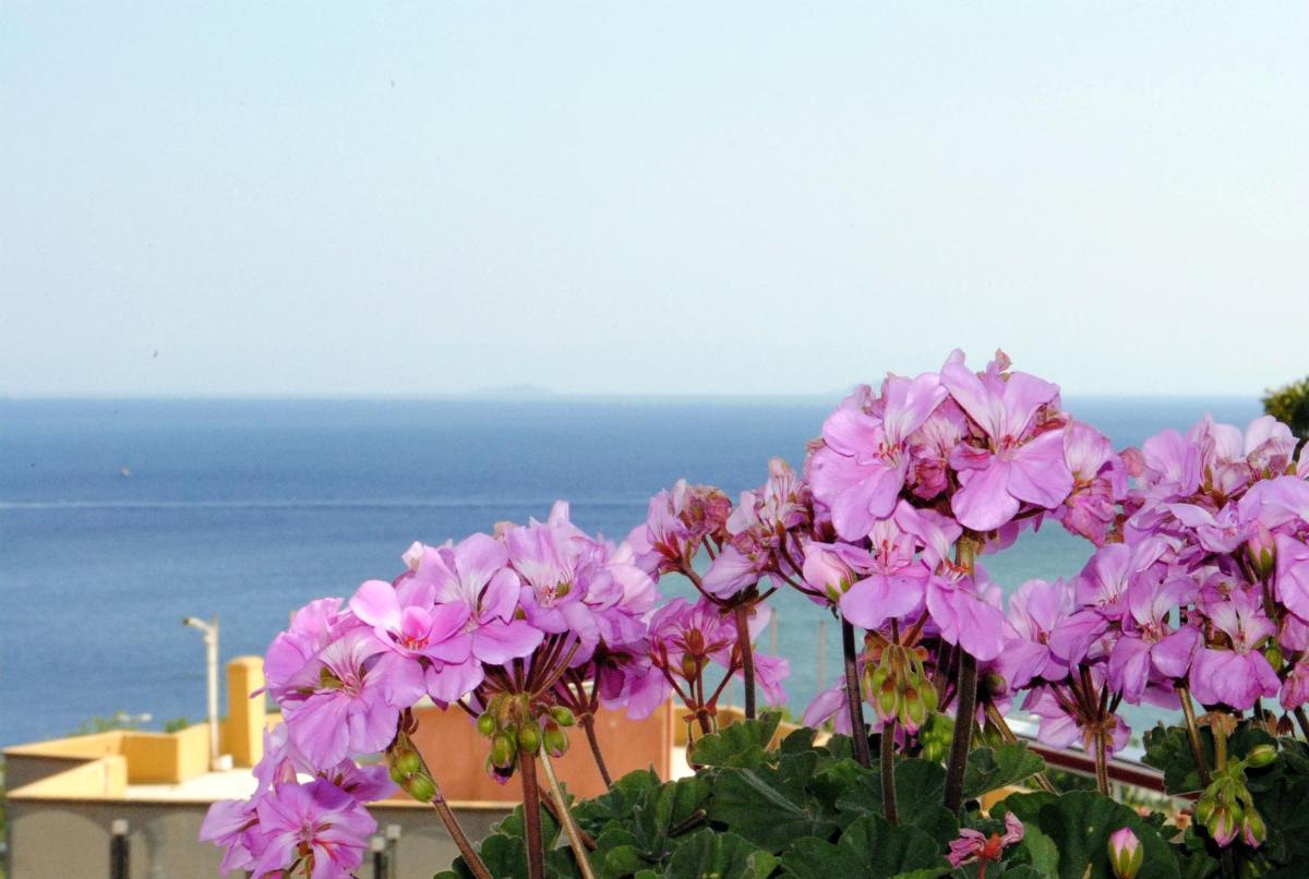 Hotel Buhara Family Inn