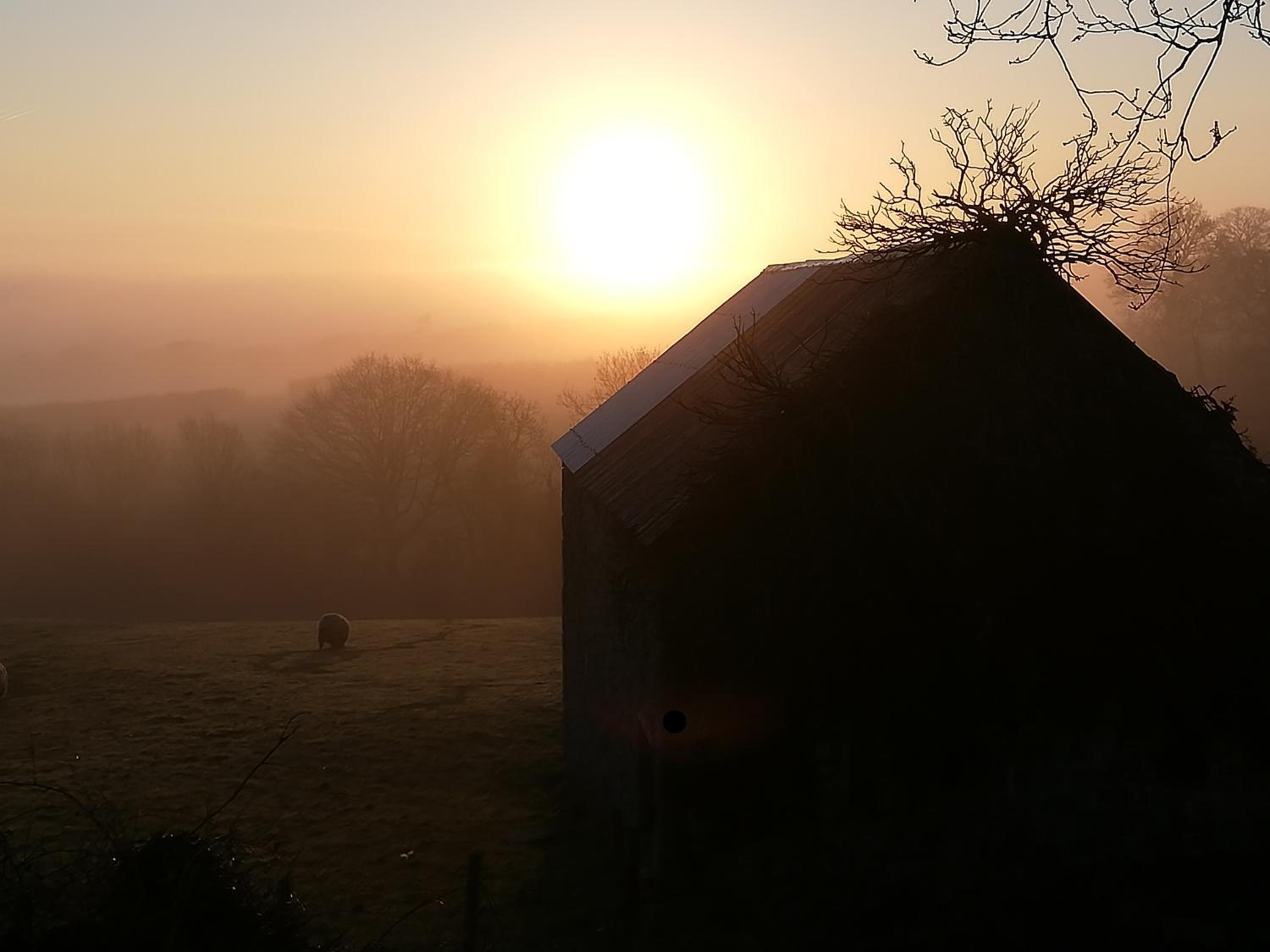 Okehampton Vacations - Lovaton Farmhouse - Property Image 30