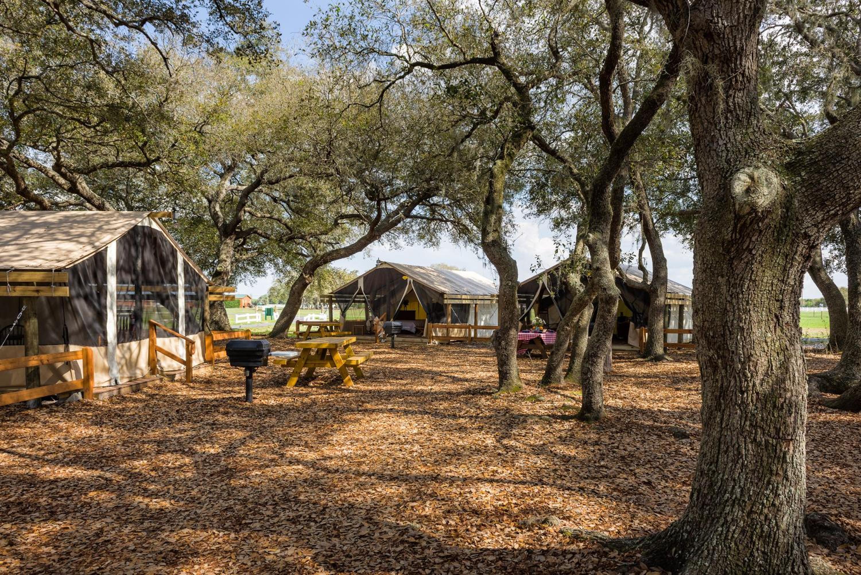 children's play area