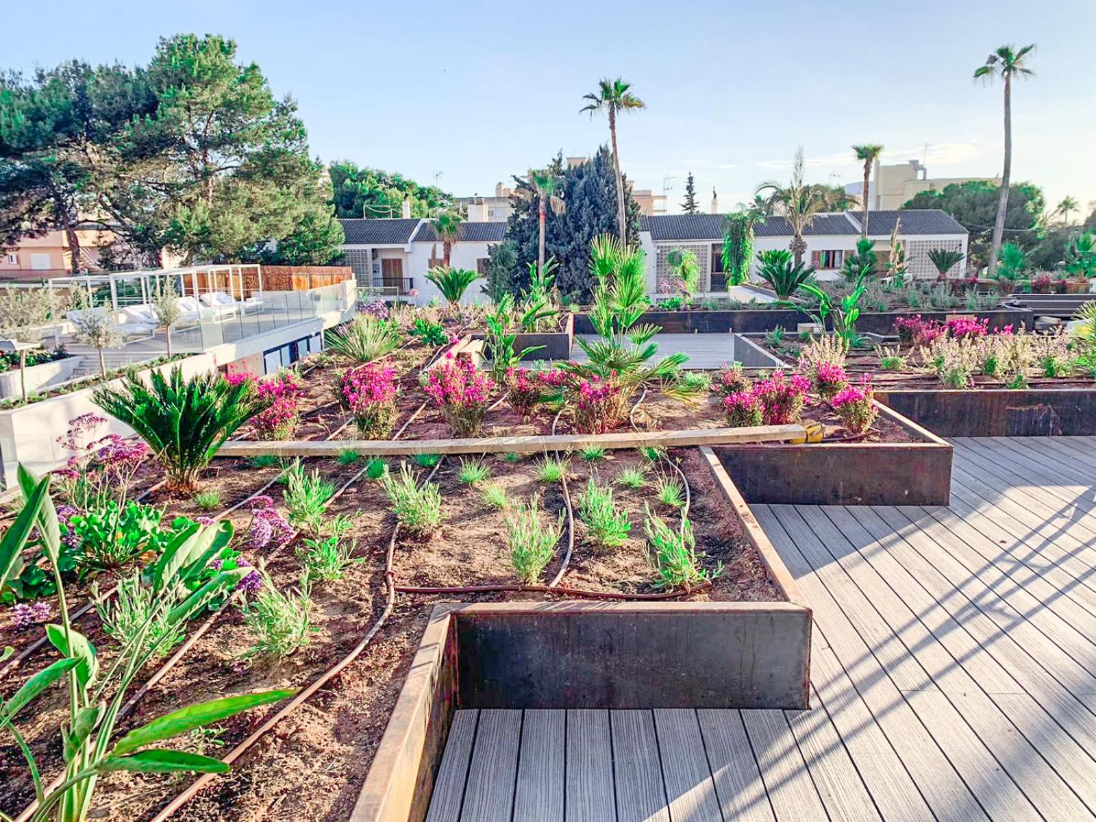 garden