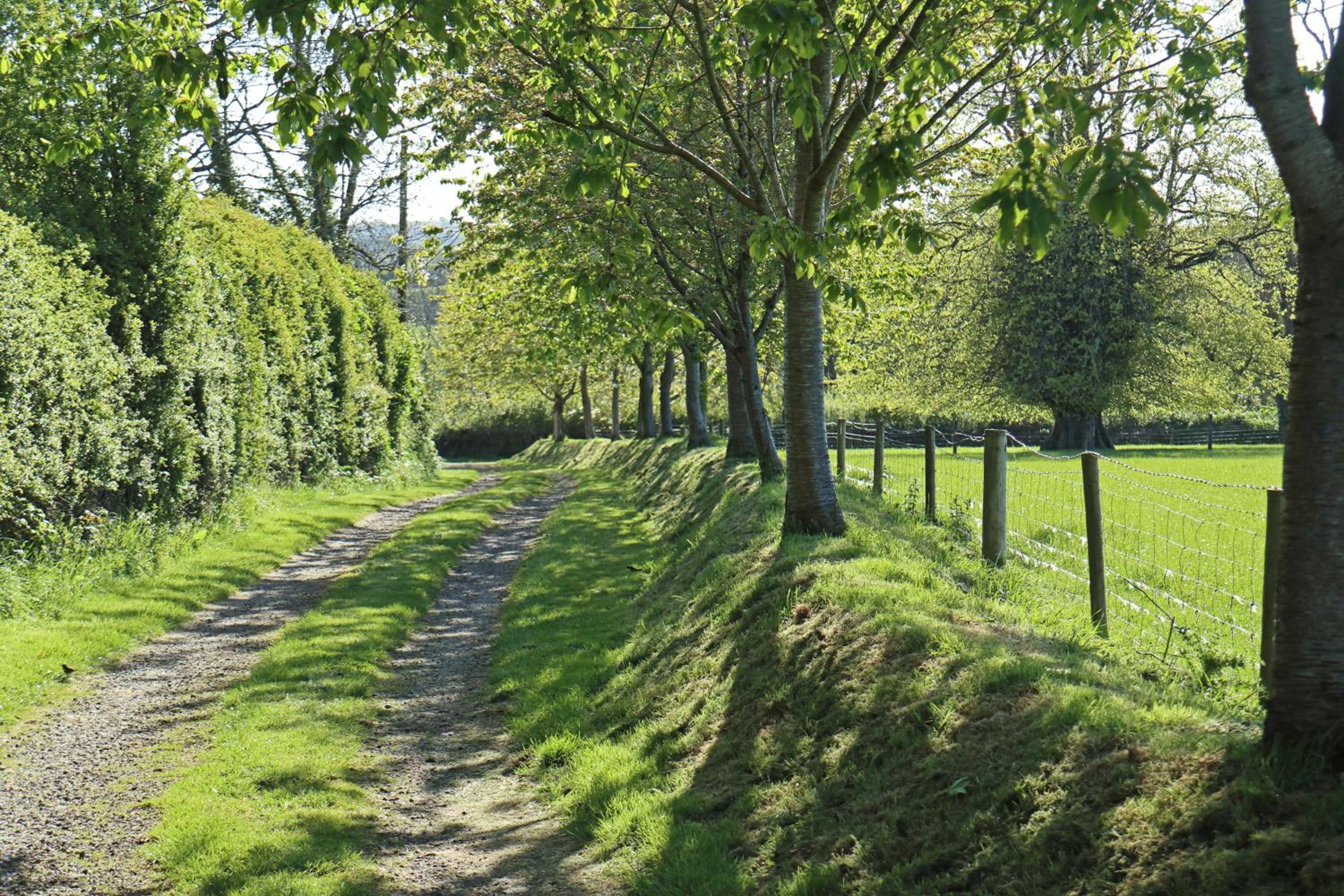 Okehampton Vacations - Lovaton Farmhouse - Property Image 19