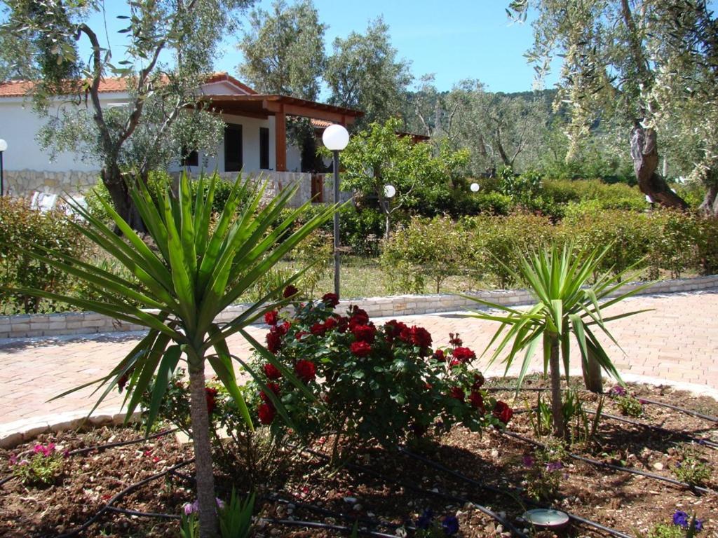 Villetta Country photo 1
