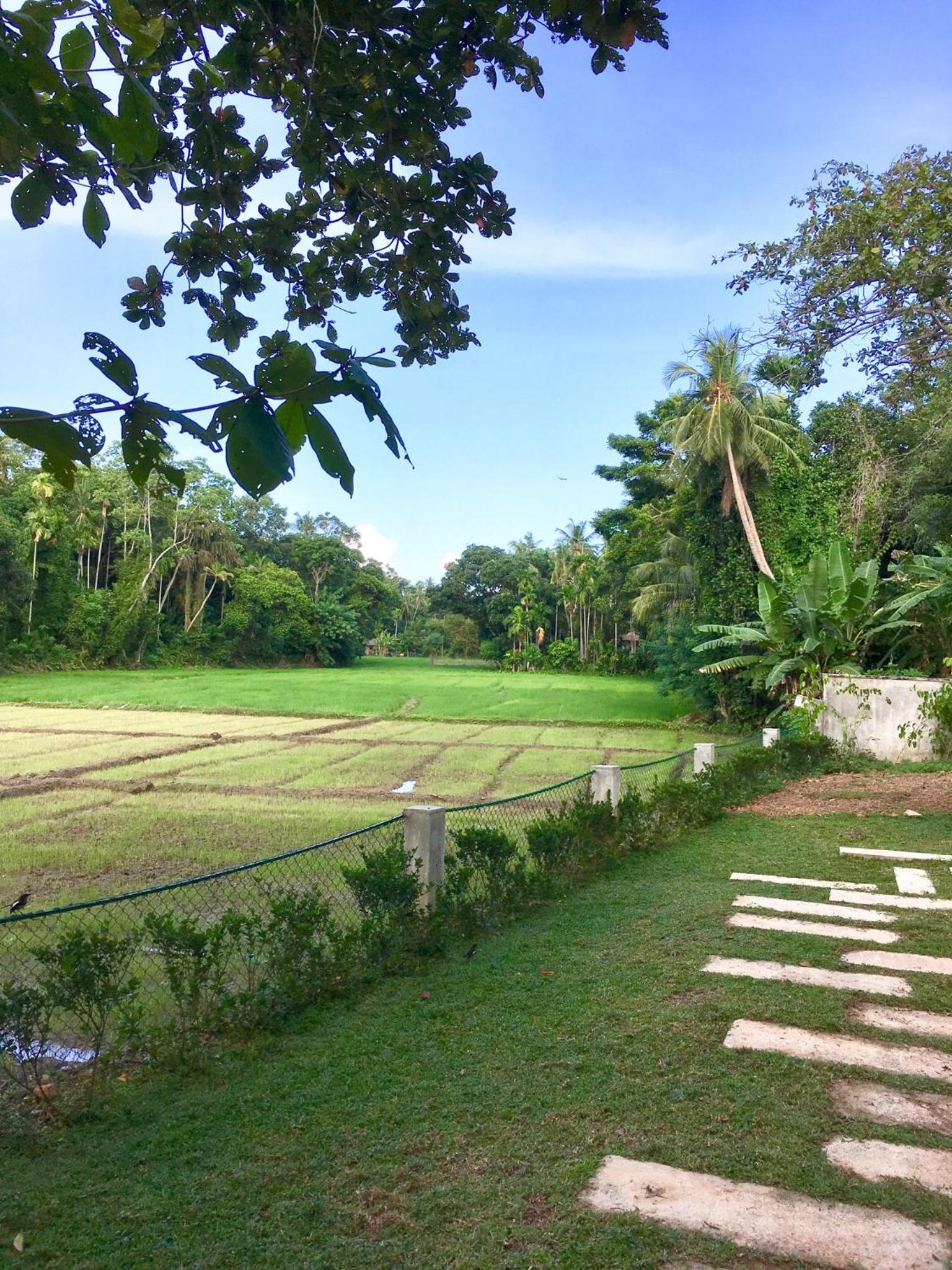 garden