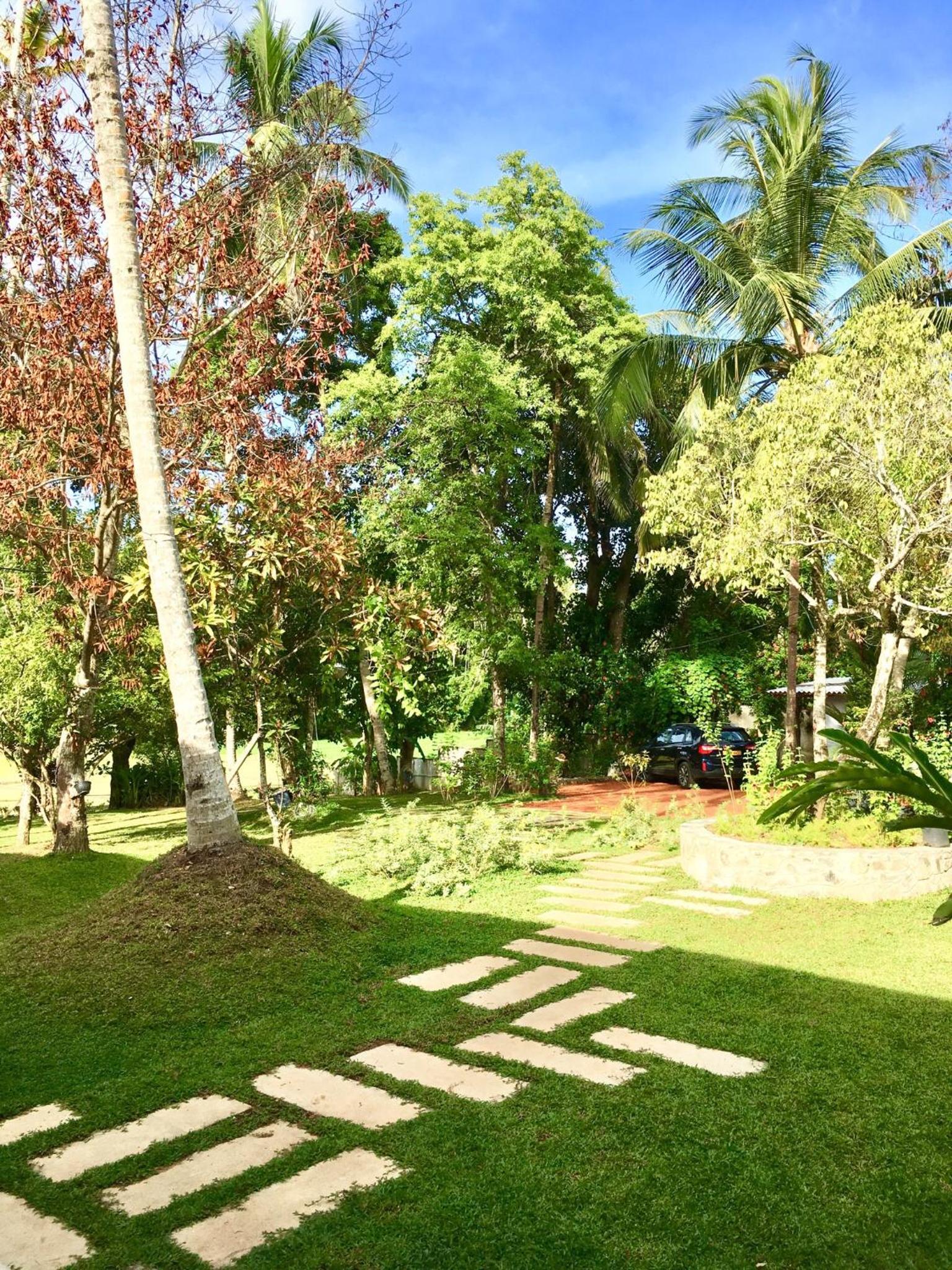 garden