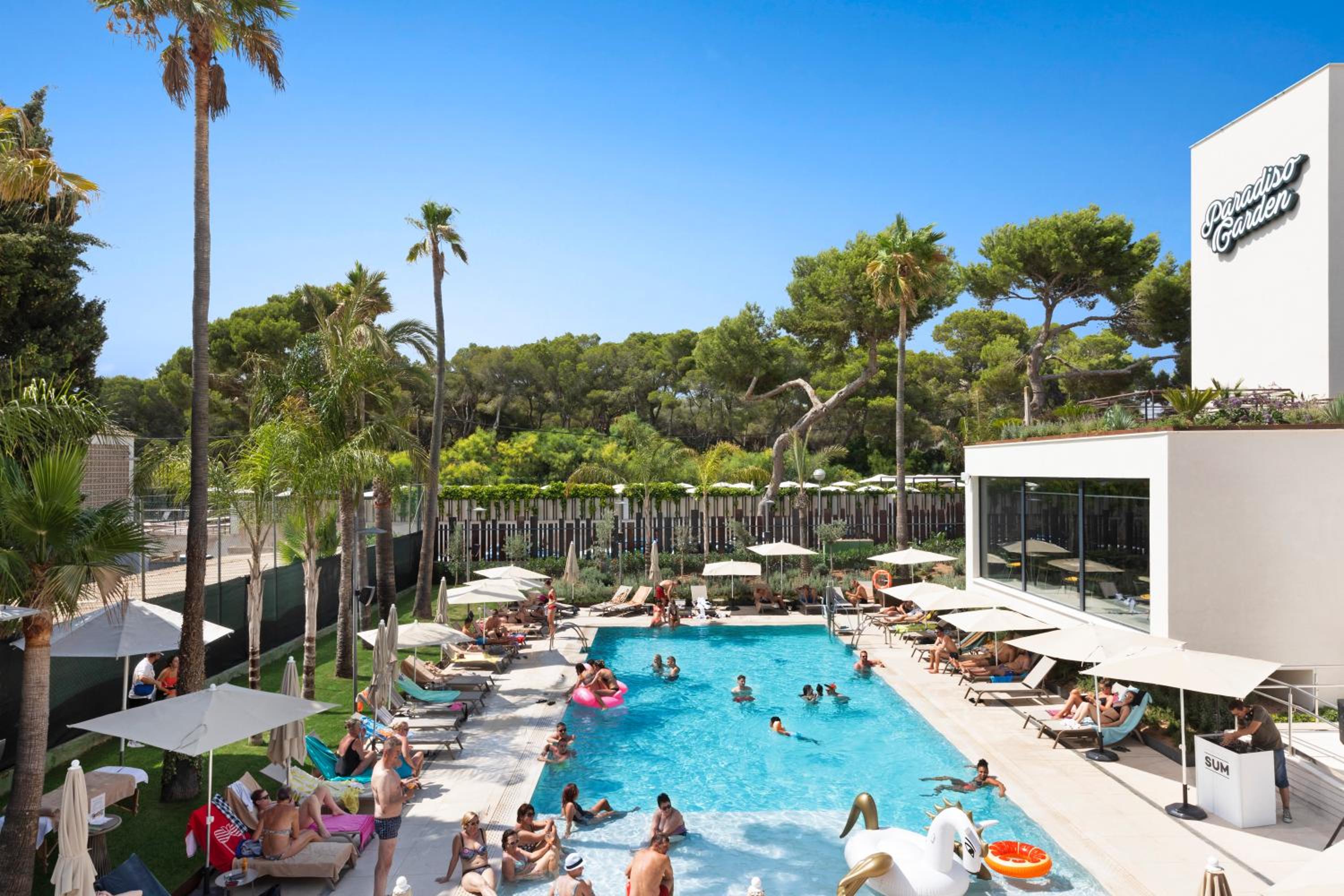 swimming pool
