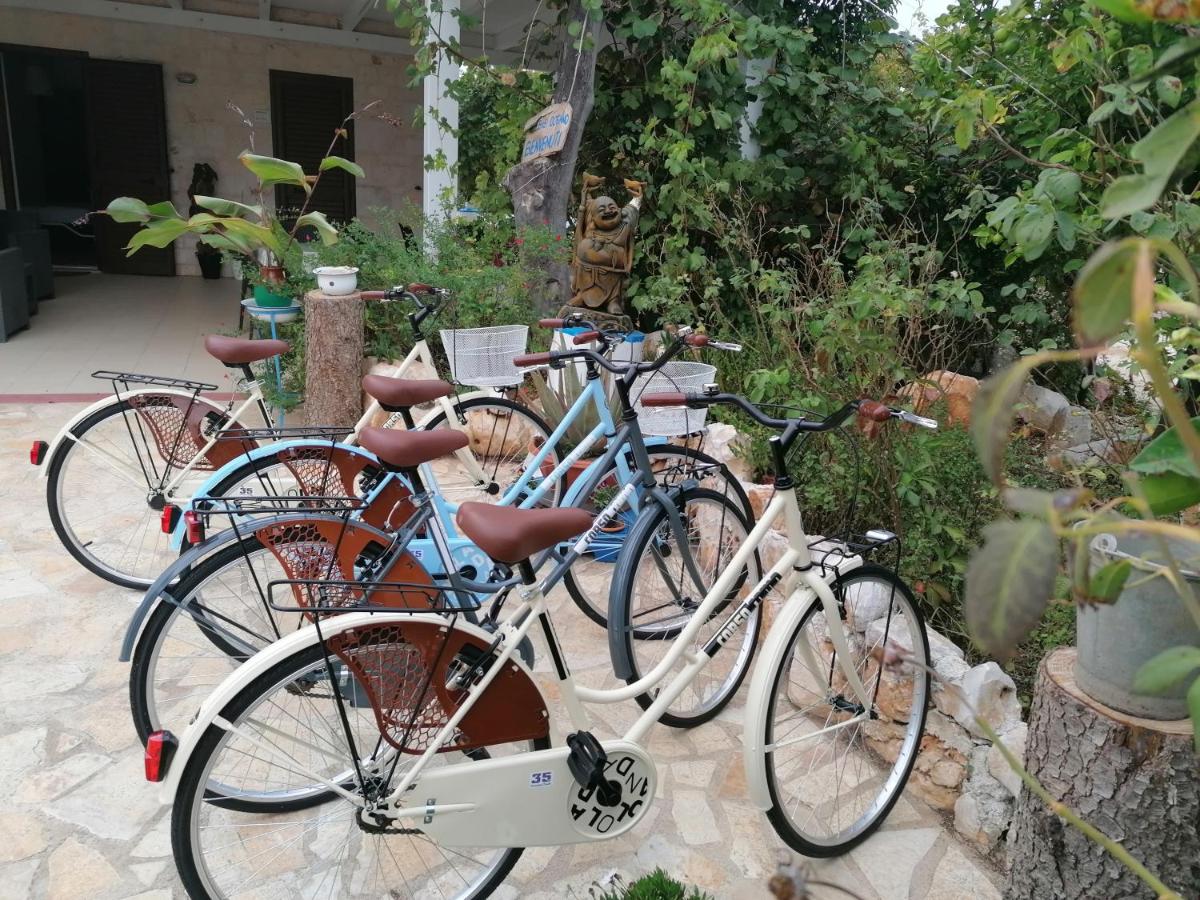 B&B Oceano