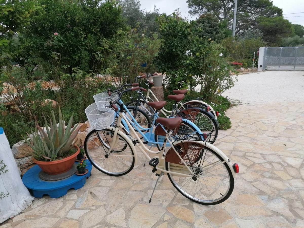 B&B Oceano