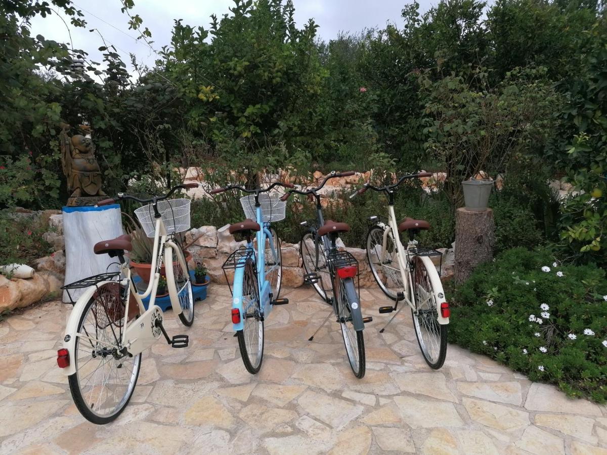 B&B Oceano