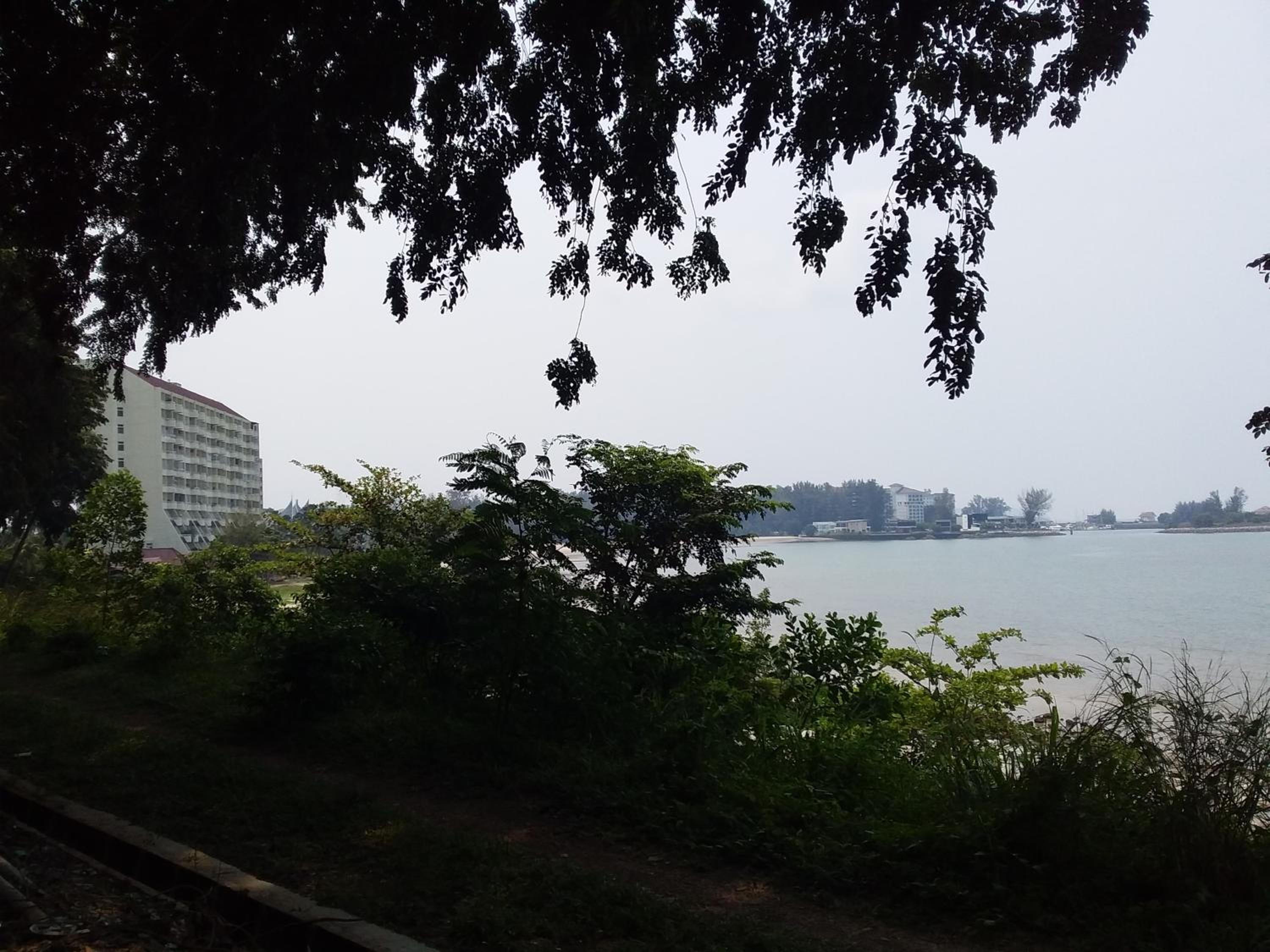 Photo 41