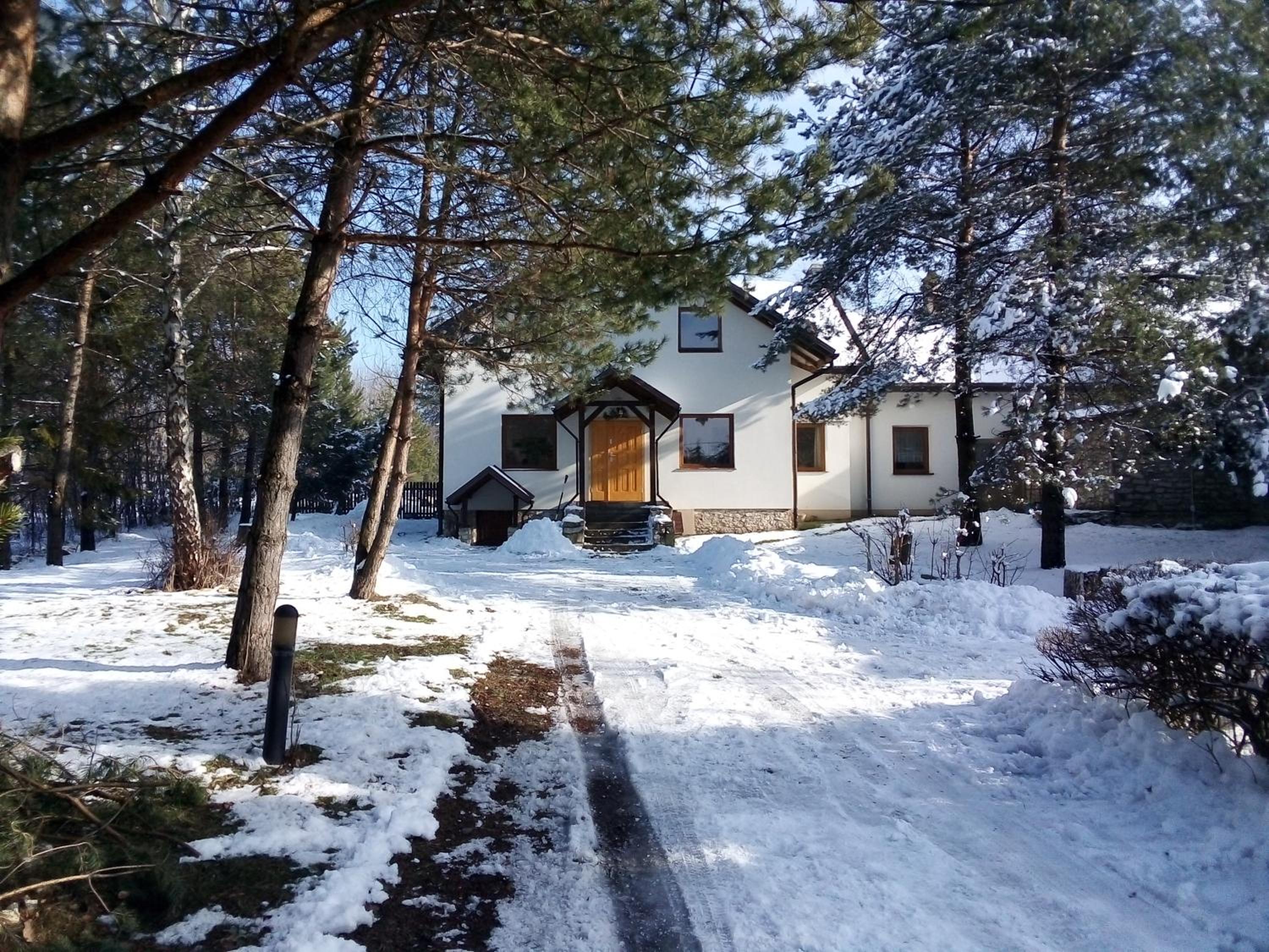 Dom wśród Sosen