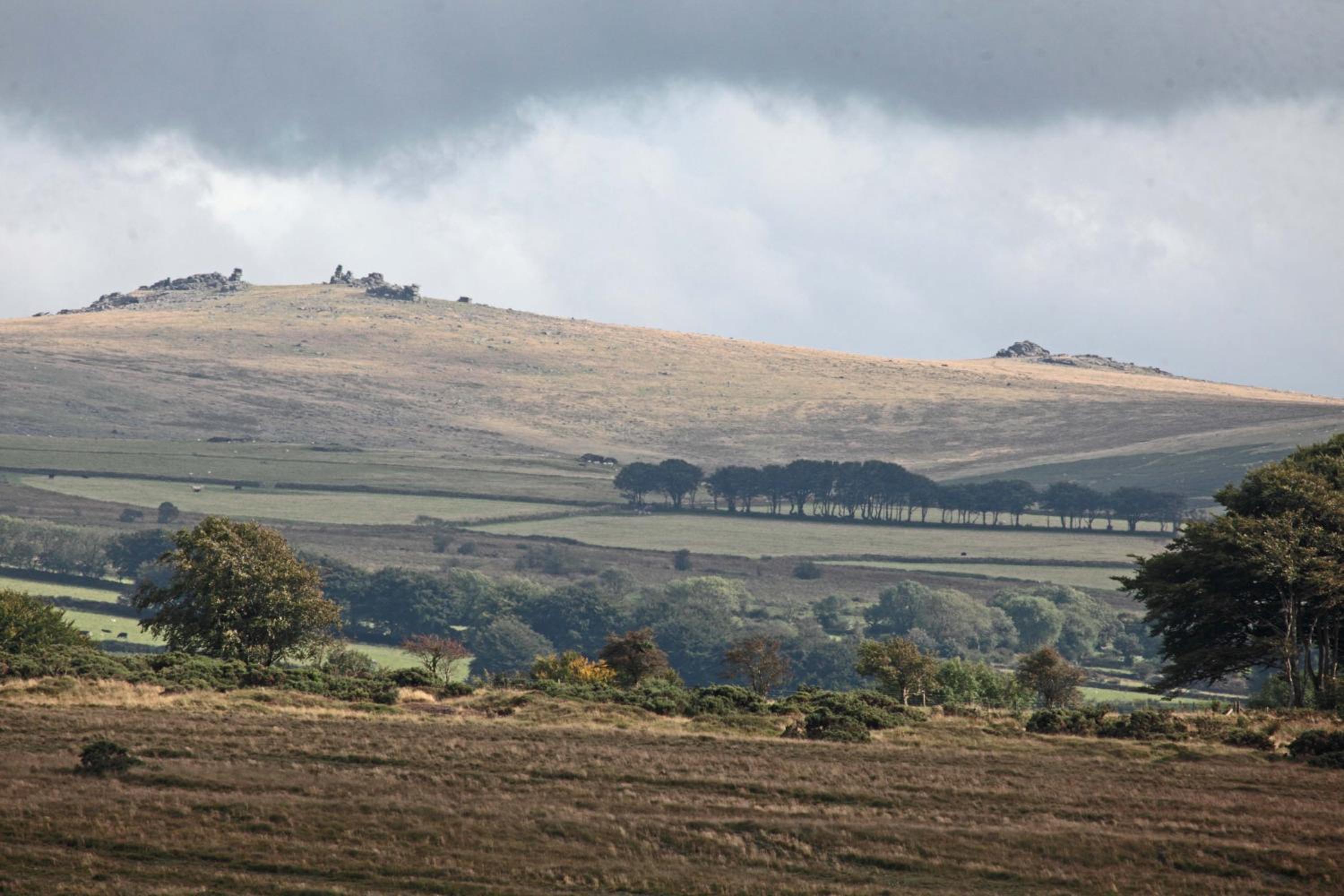 Okehampton Vacations - Lovaton Farmhouse - Property Image 12