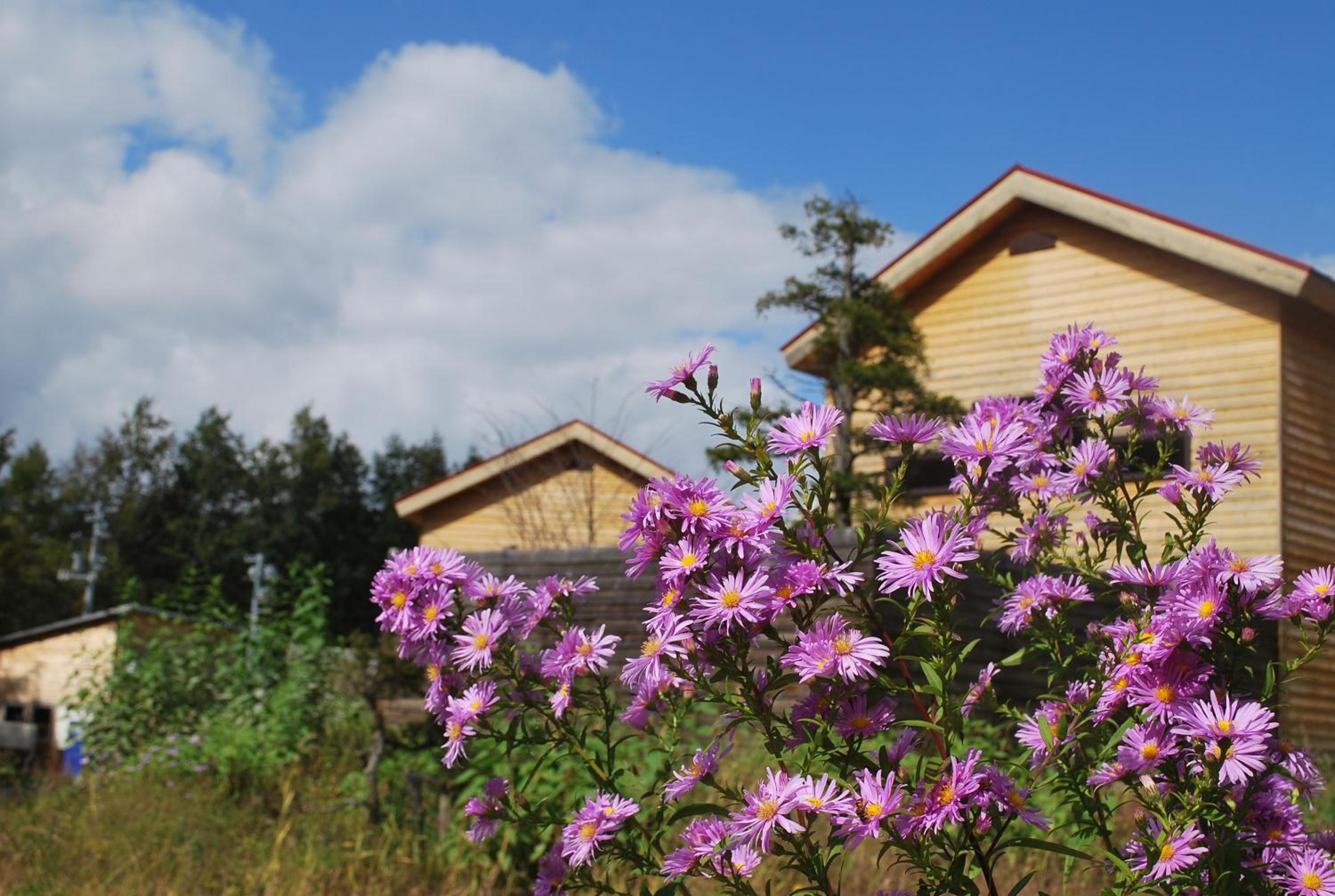 Auberge Ninguruforet 8