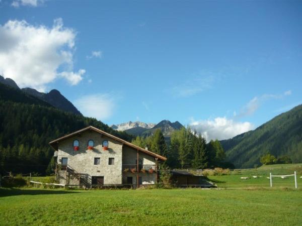 Rustico Bertolini