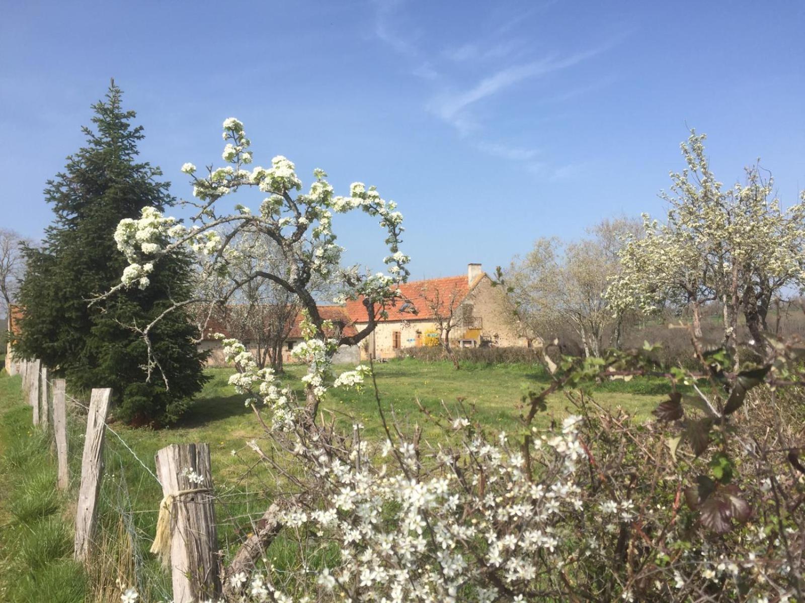 Domaine les Grands Pérons
