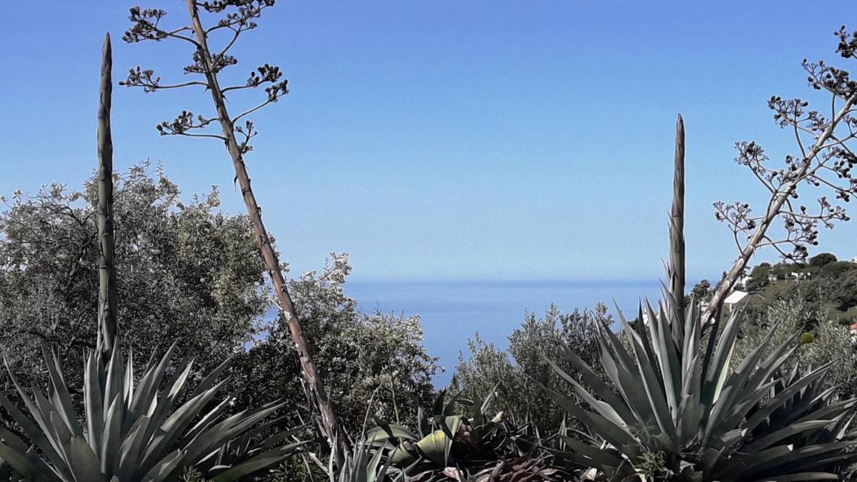 Campo Agave B&B