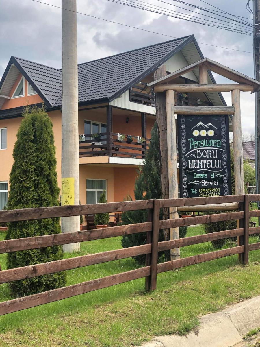 "Doru' Muntelui"