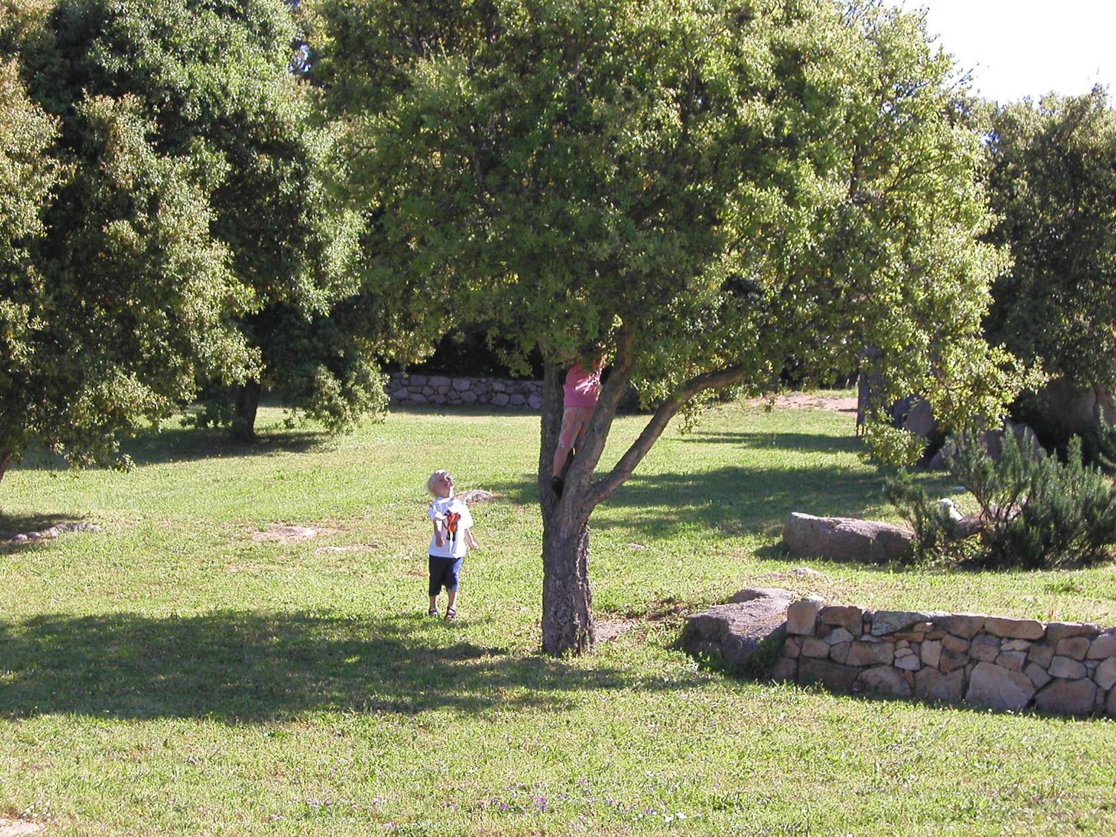 Photo 33