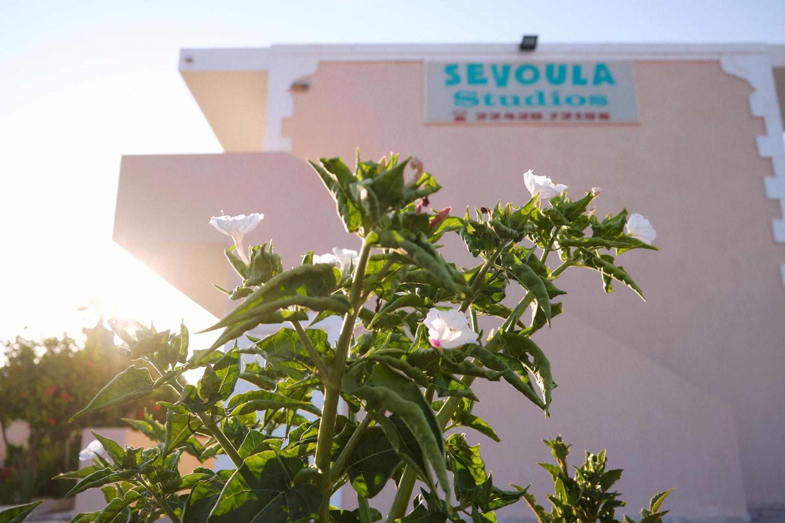 Sevoula studios