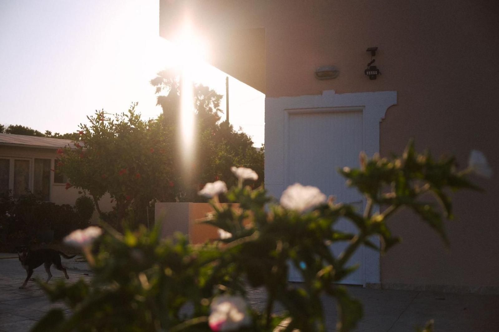 Sevoula studios