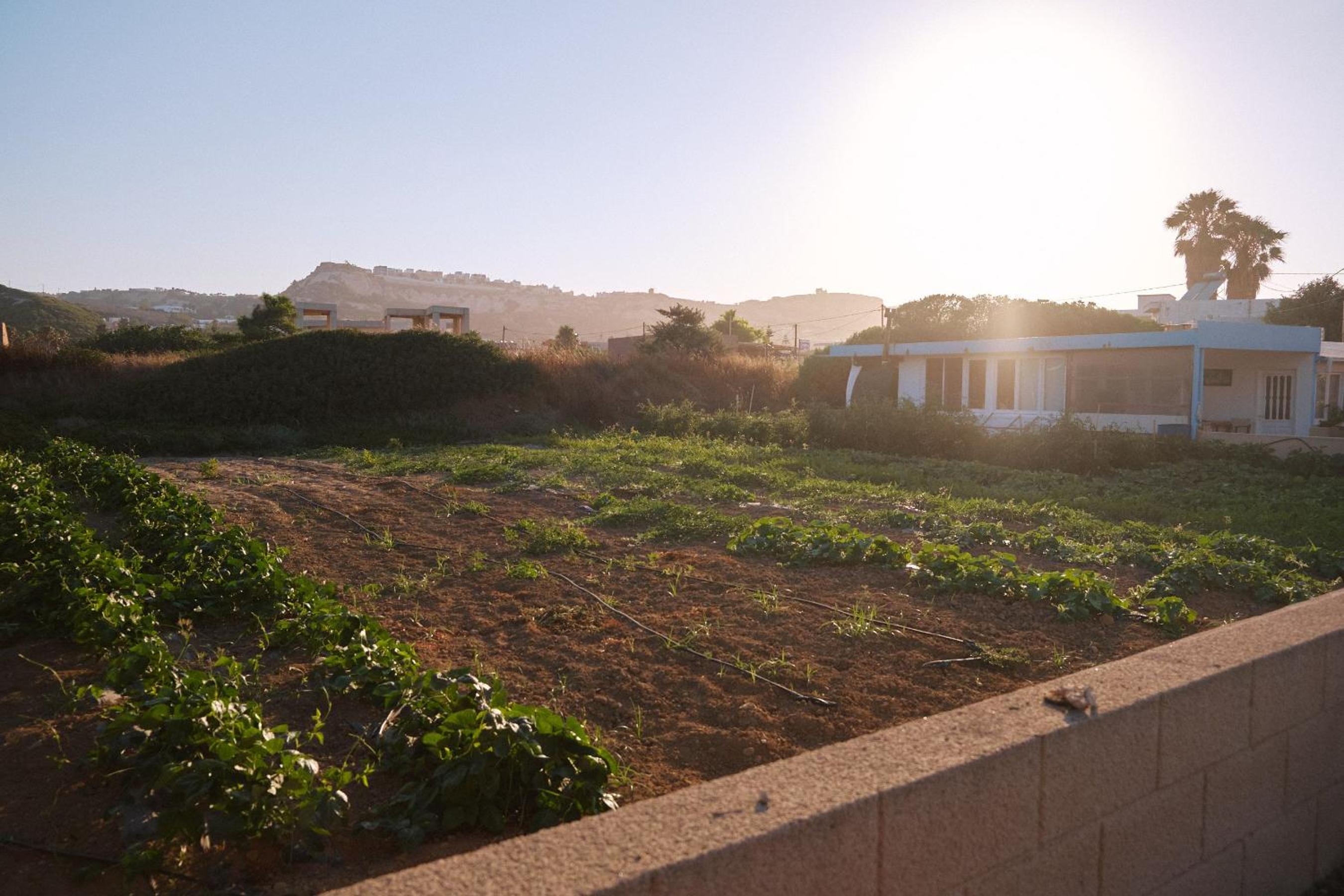 Sevoula studios