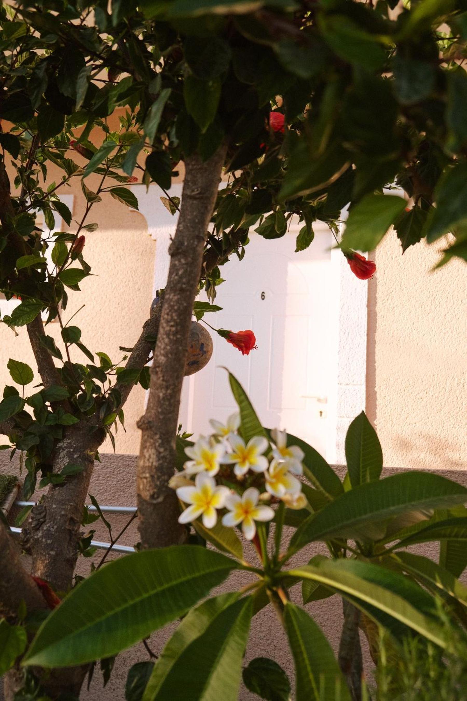 Sevoula studios