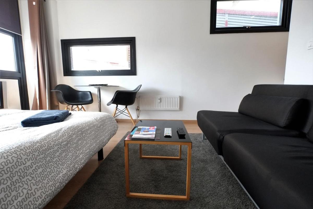 Appartement Gare Lille Europe view 3
