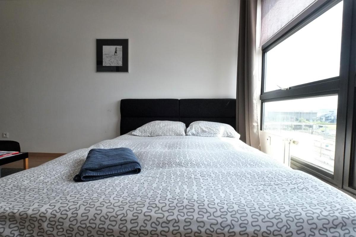 Appartement Gare Lille Europe view 2