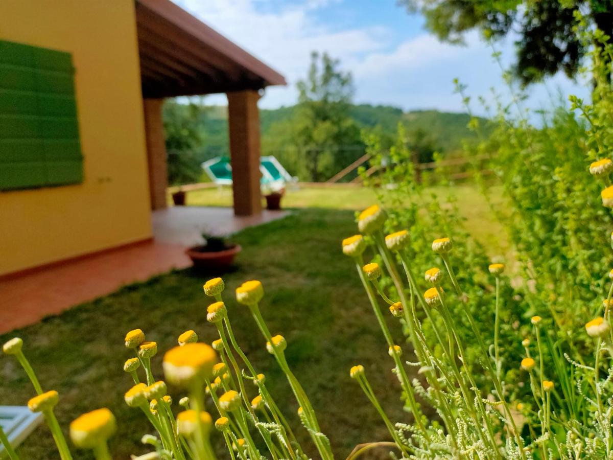 Villa sulle Colline Toscane con Piscina photo 1