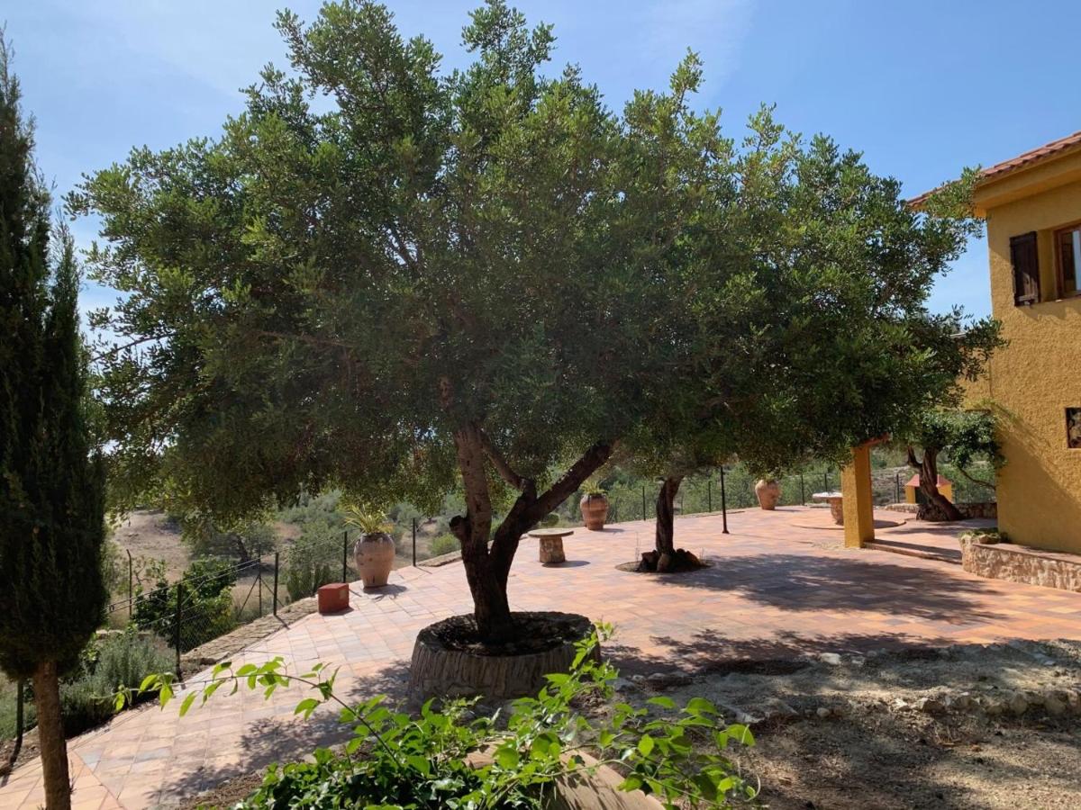 Photo 36